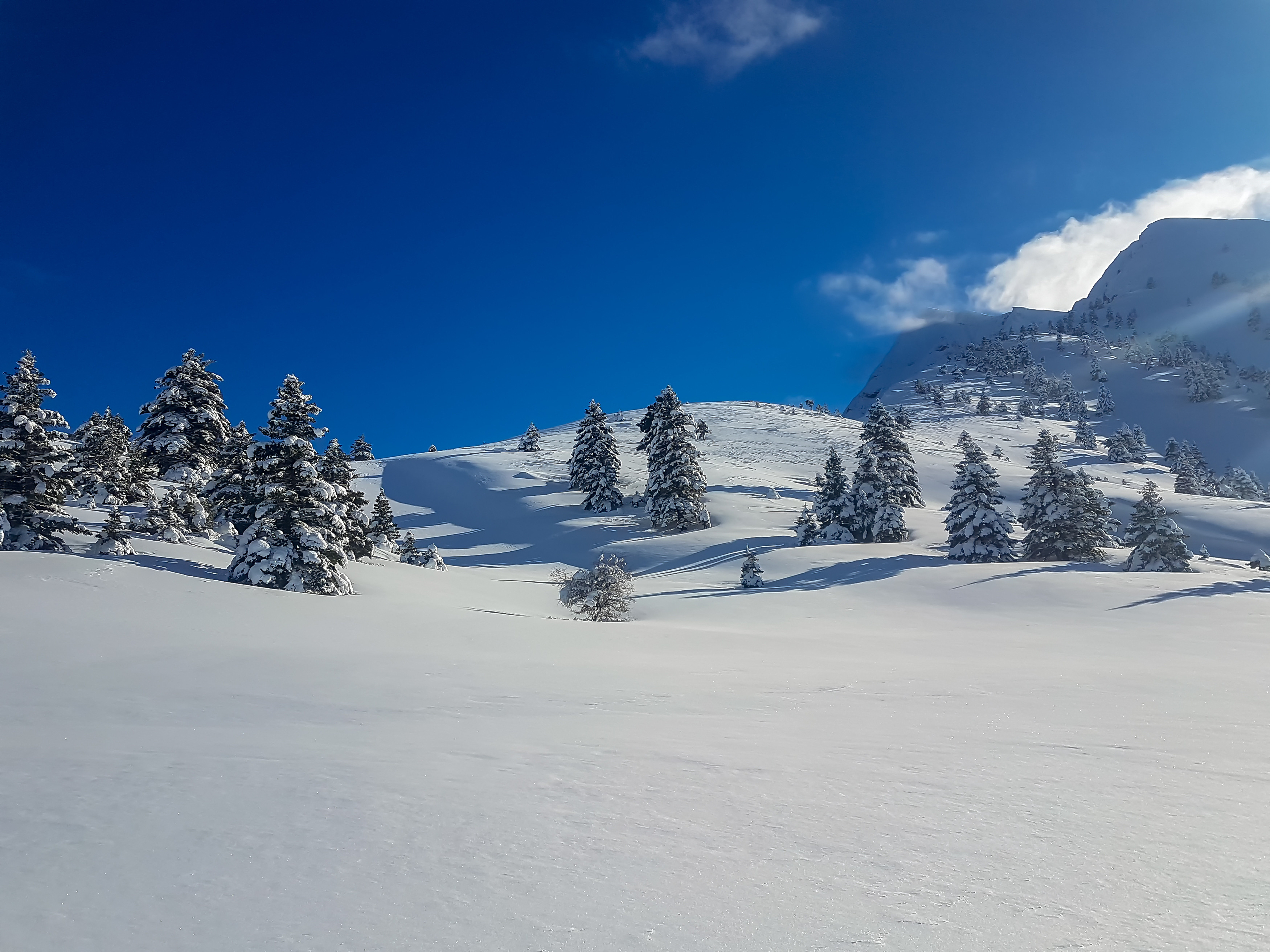 Kalavrita ski centre on a powder-perfect day. Photo / 123rf