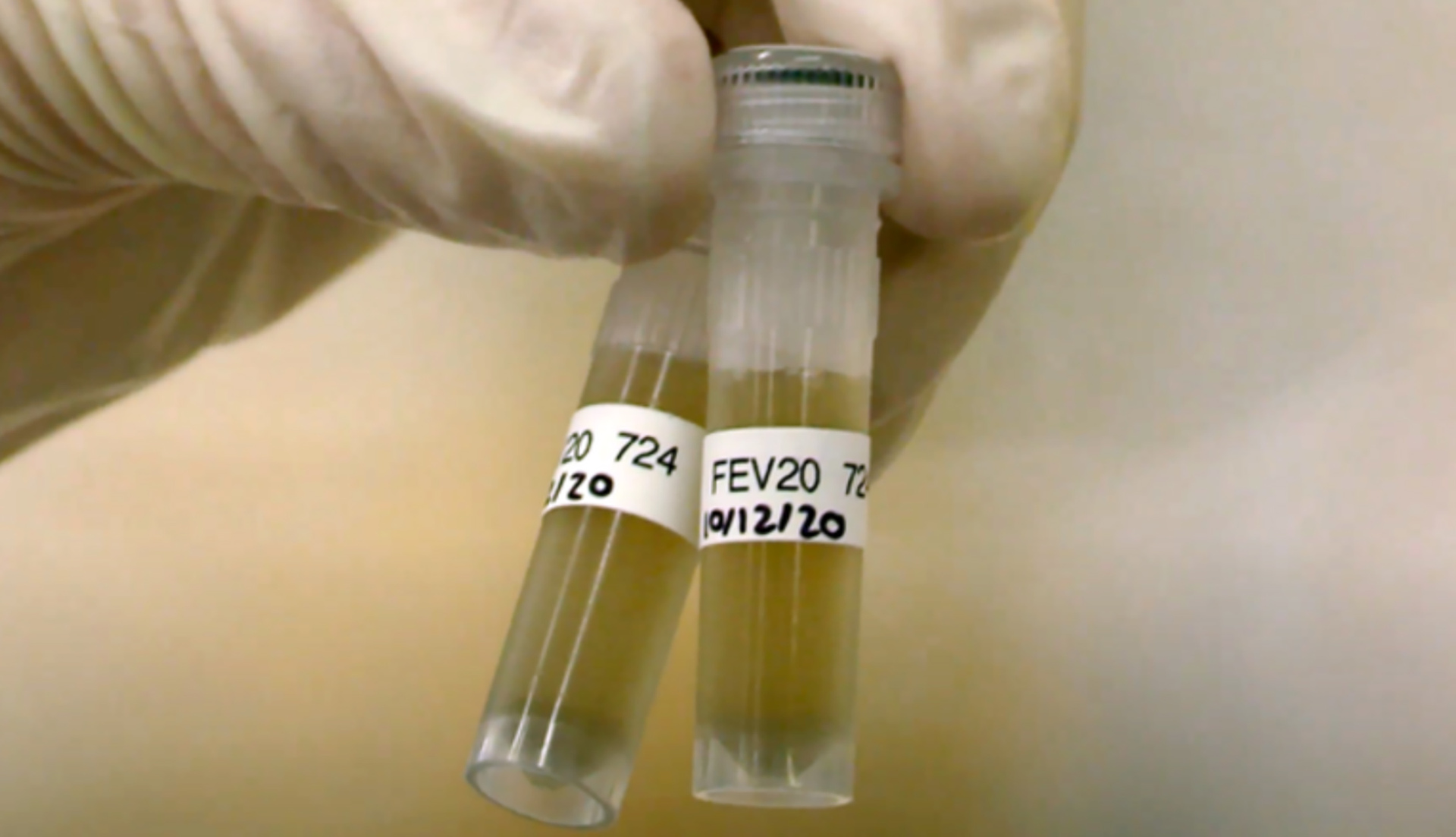 Wastewater-based epidemiology has played an increasingly large role in New Zealand's pandemic toolbox. Photo / Supplied