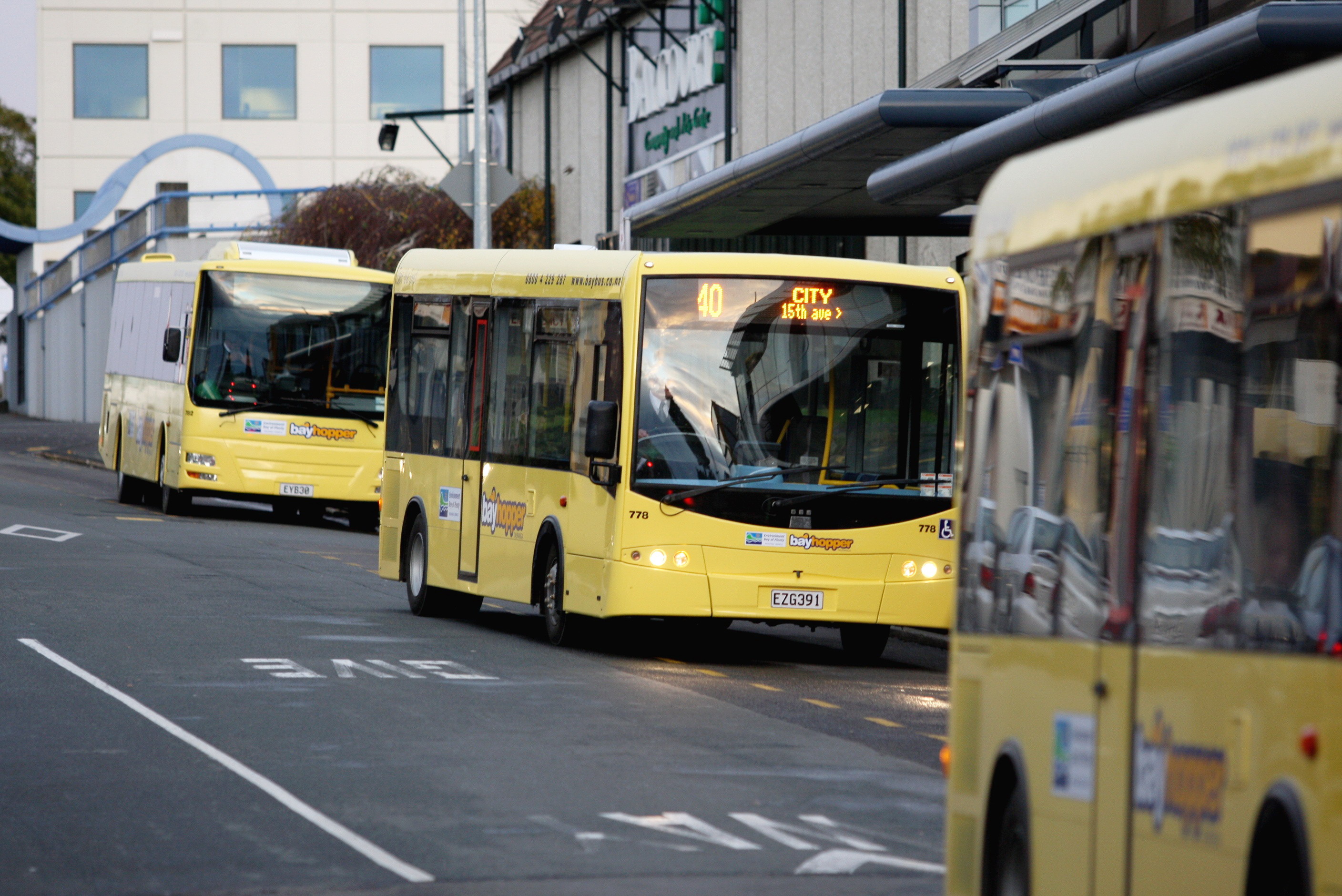 bay bus timetable tauranga