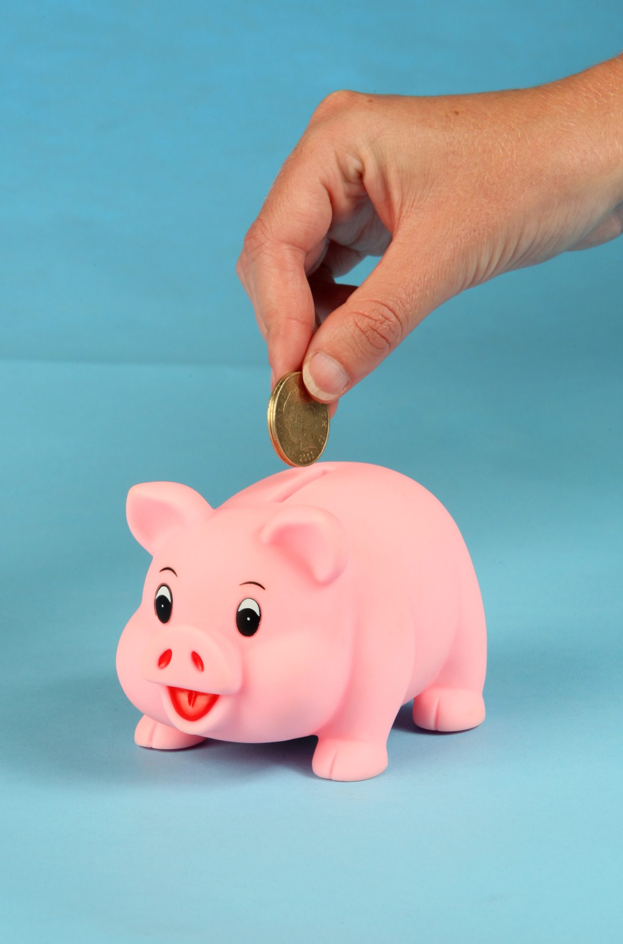 Every dollar counts over the long term - Einstein said compounding interest was the eighth wonder of the world.
Photo / Kellie Blizard