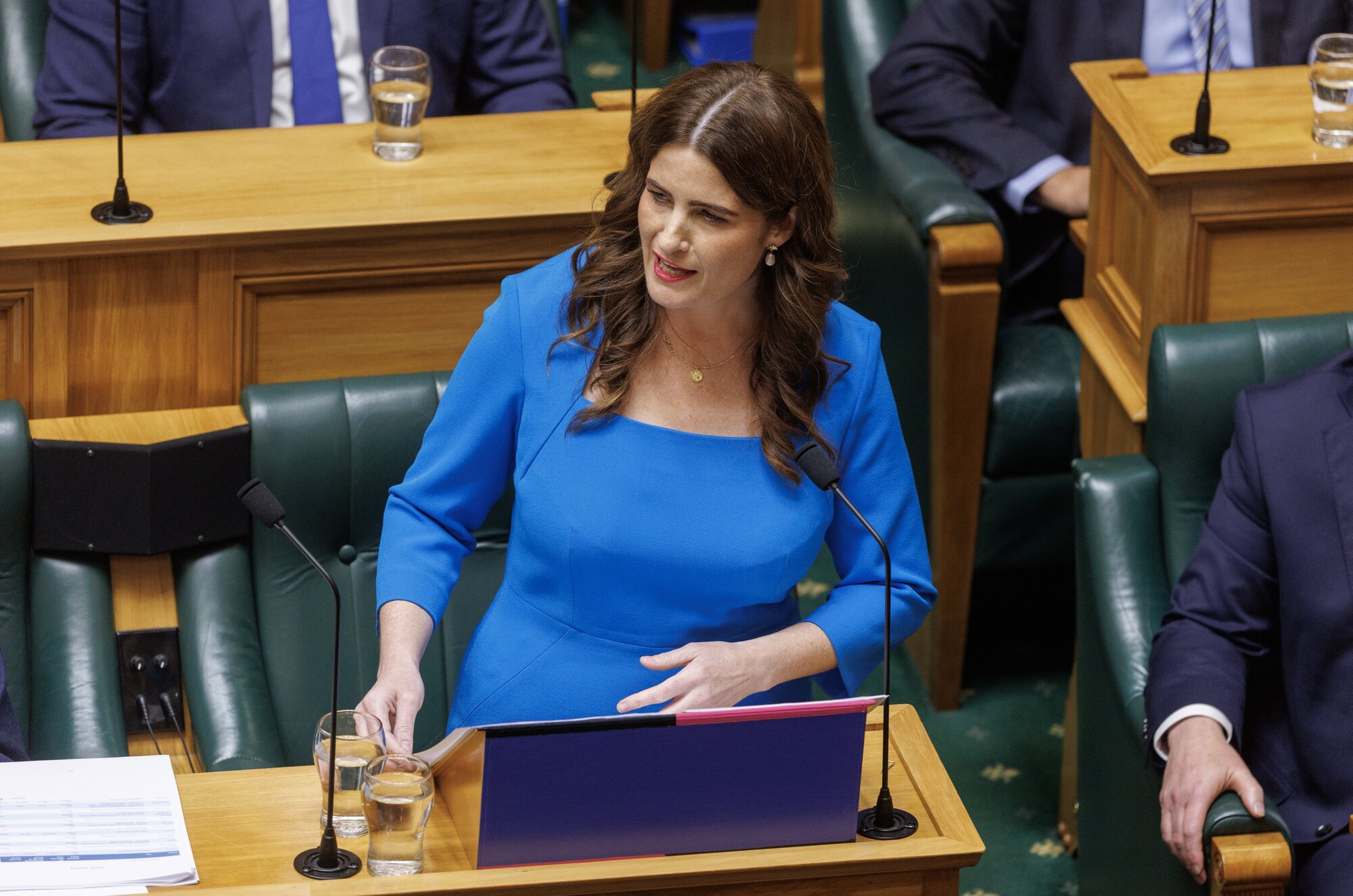 Finance Minister Nicola Willis speaking about Budget 2025. Photo / Mark Mitchell