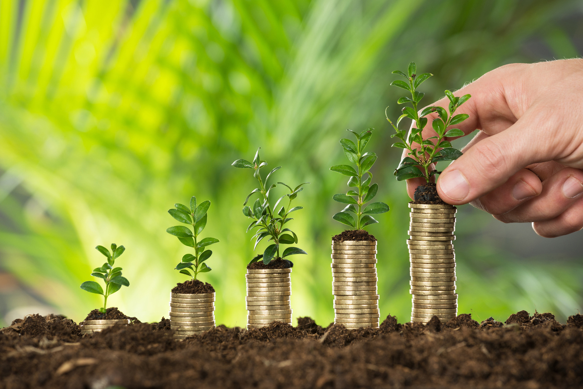 National’s plan would lift KiwiSaver contributions to 12% by 2032. Photo / 123RF