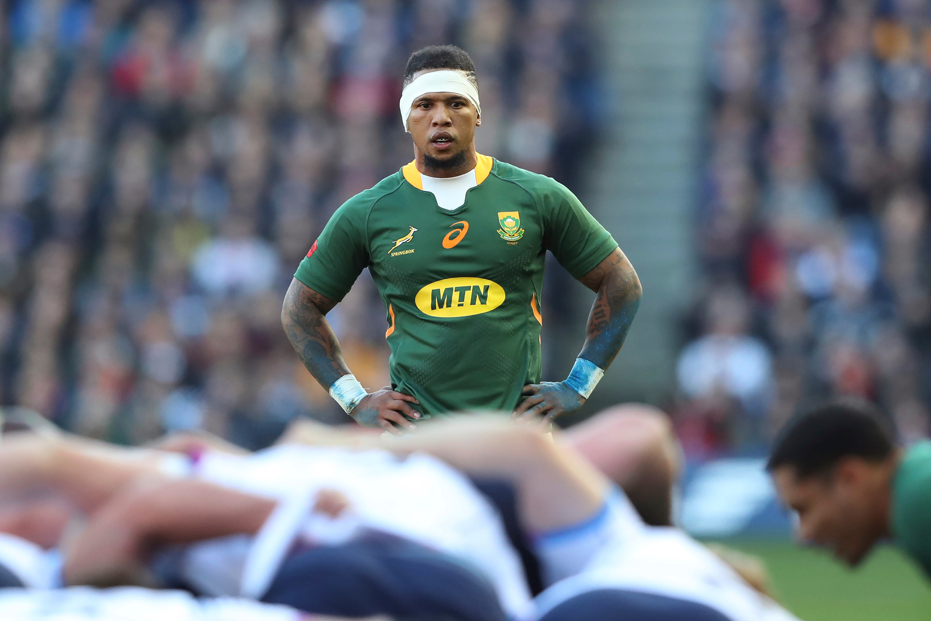 elton jantjies springboks