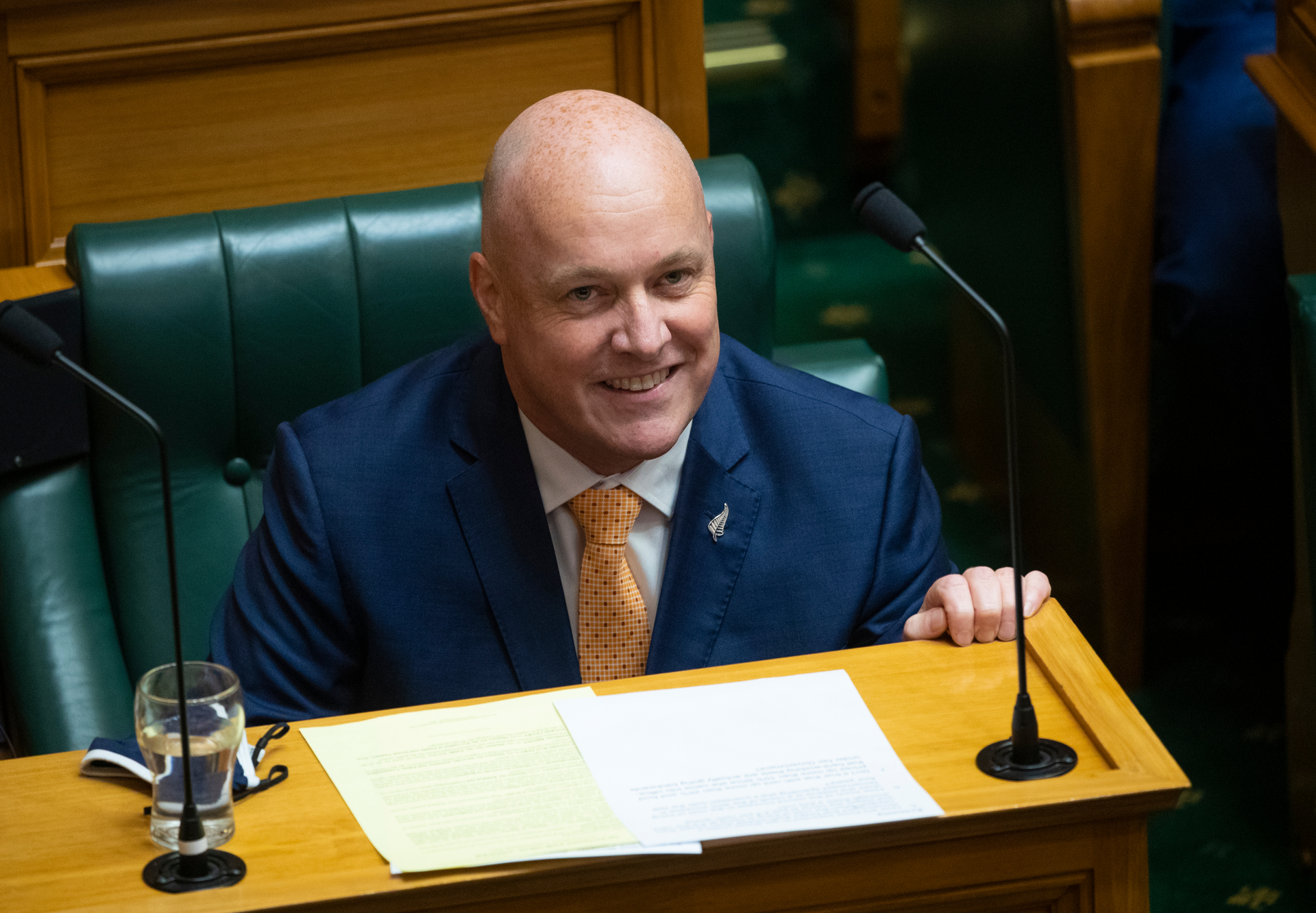 National leader Christopher Luxon in Parliament on Wednesday. Photo / Mark Mitchell