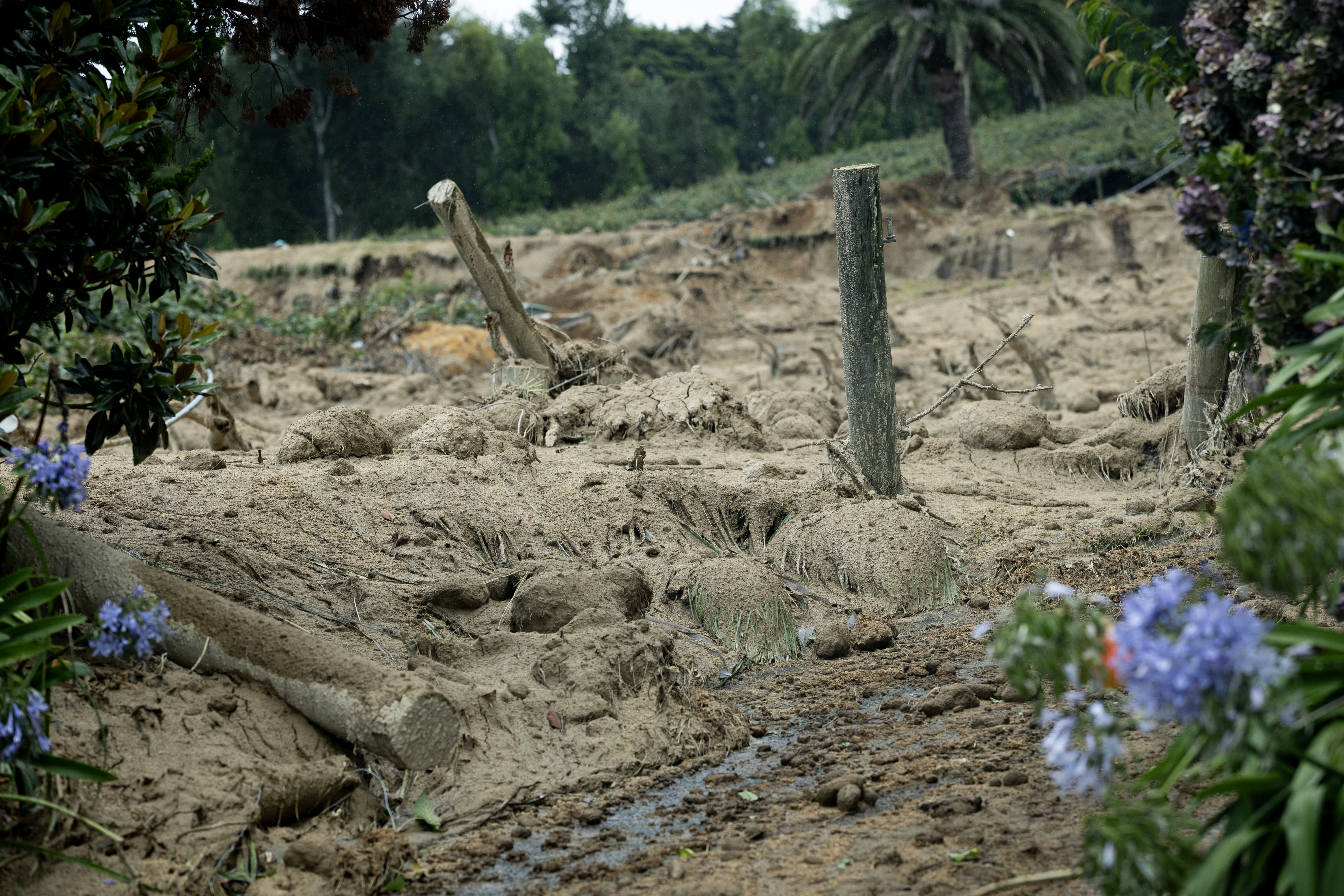 The thick mud has blanketed the properties on Welcome Bay Rd. Photo / Dean Purcell