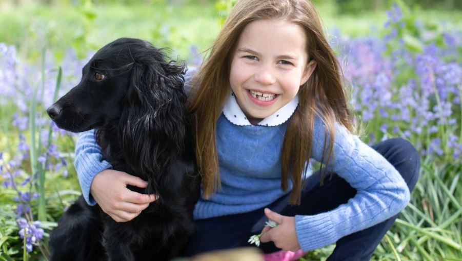 The Palace released this image to mark Princess Charlotte's seventh birthday. Photo / Getty Images