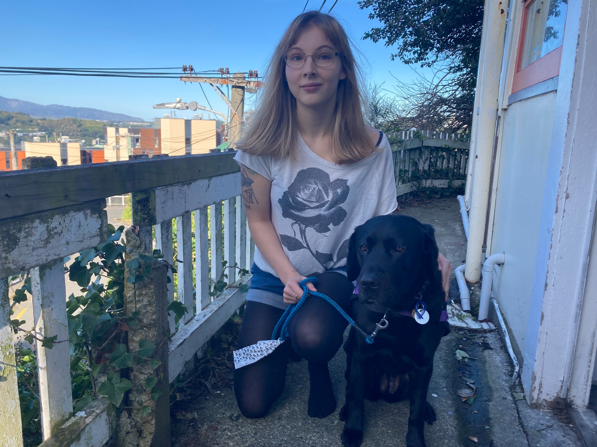 Can You Take Dogs In Uber