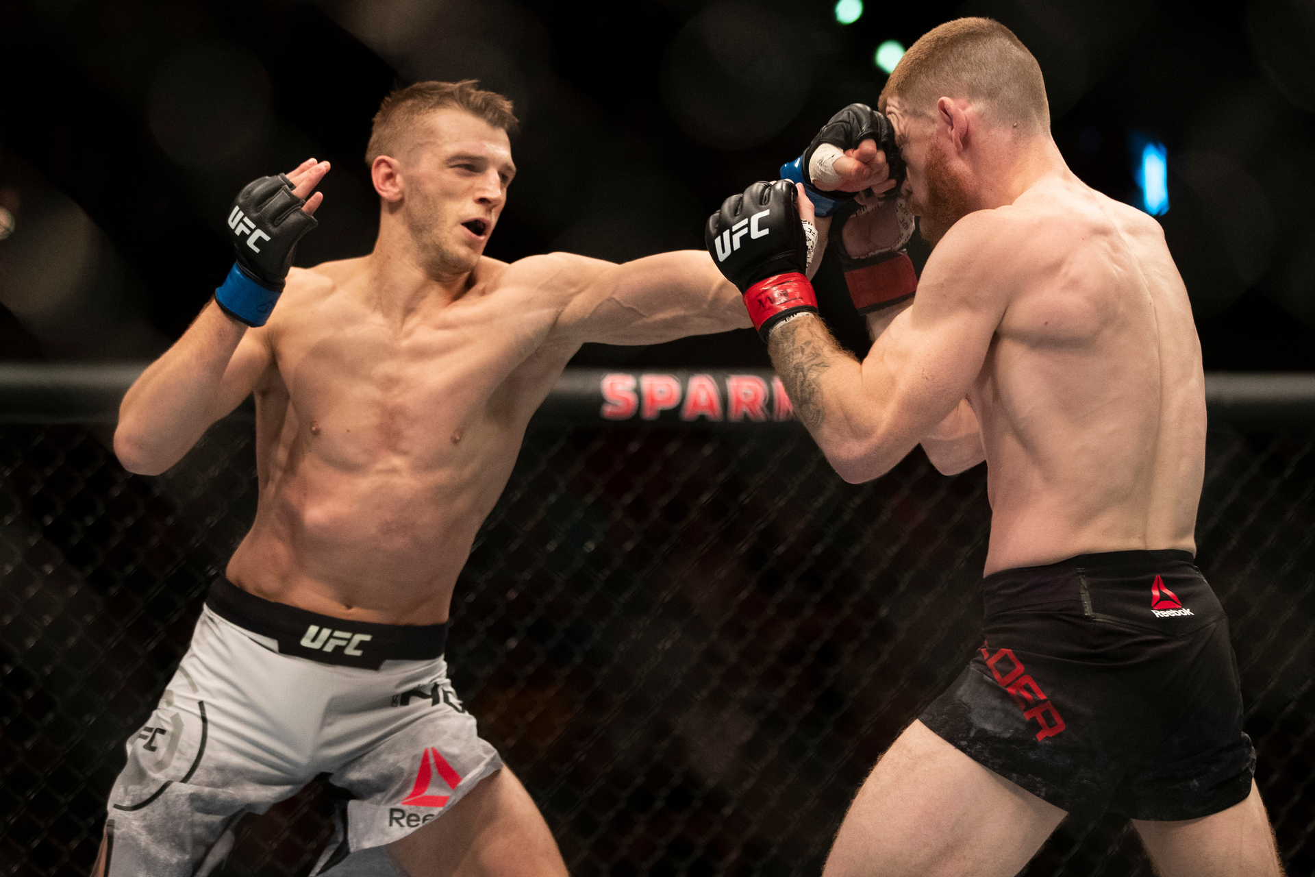 UFC 281: Brad Riddell reflects on recent UFC run and split-camp approach  for bout against Renato Moicano - NZ Herald