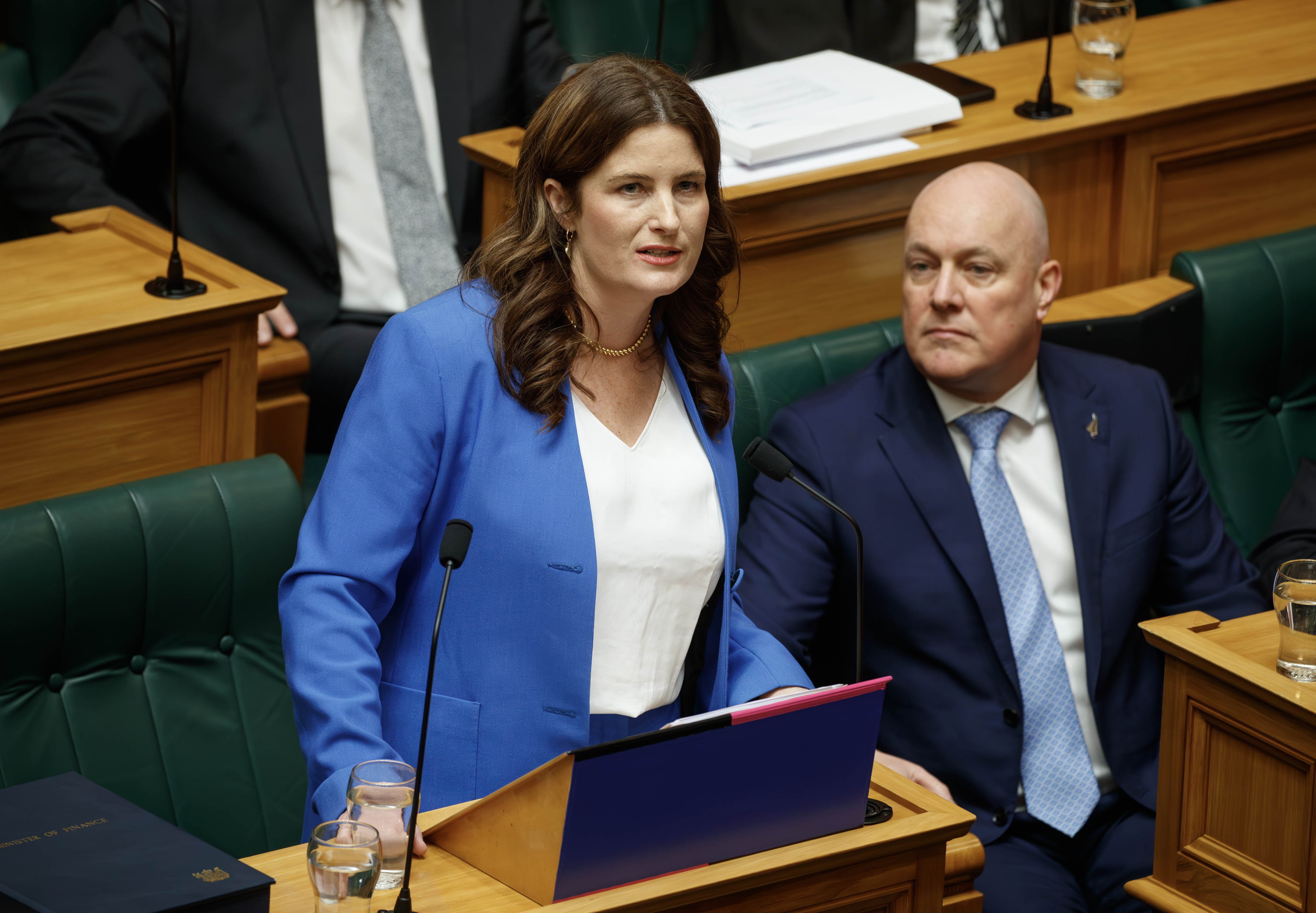 Finance Minister Nicola Willis reading her Budget 2024 in Parliament. Photo / Mark Mitchell