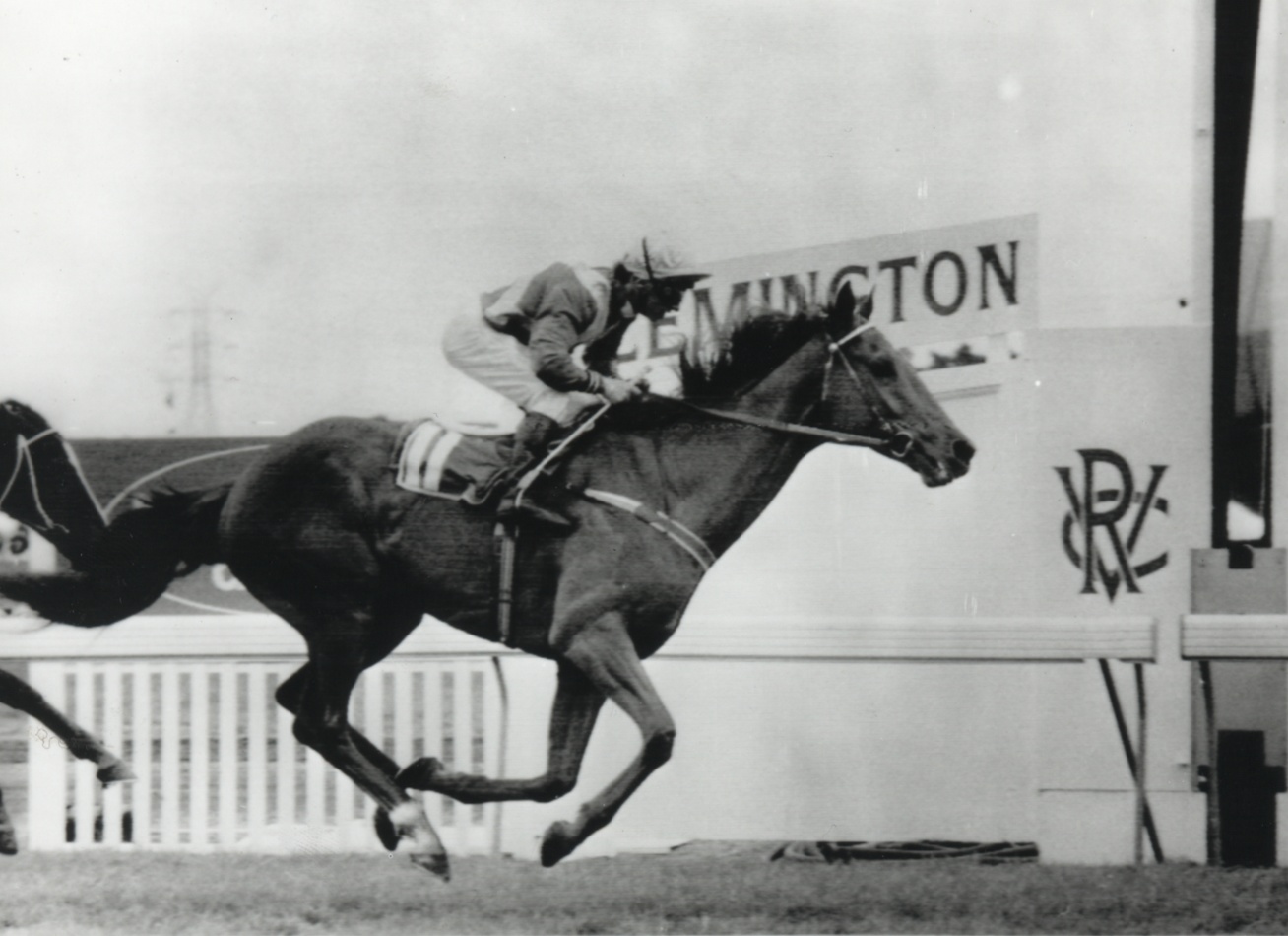 Kiwi's come-from-behind victory at the 1983 Melbourne Cup.