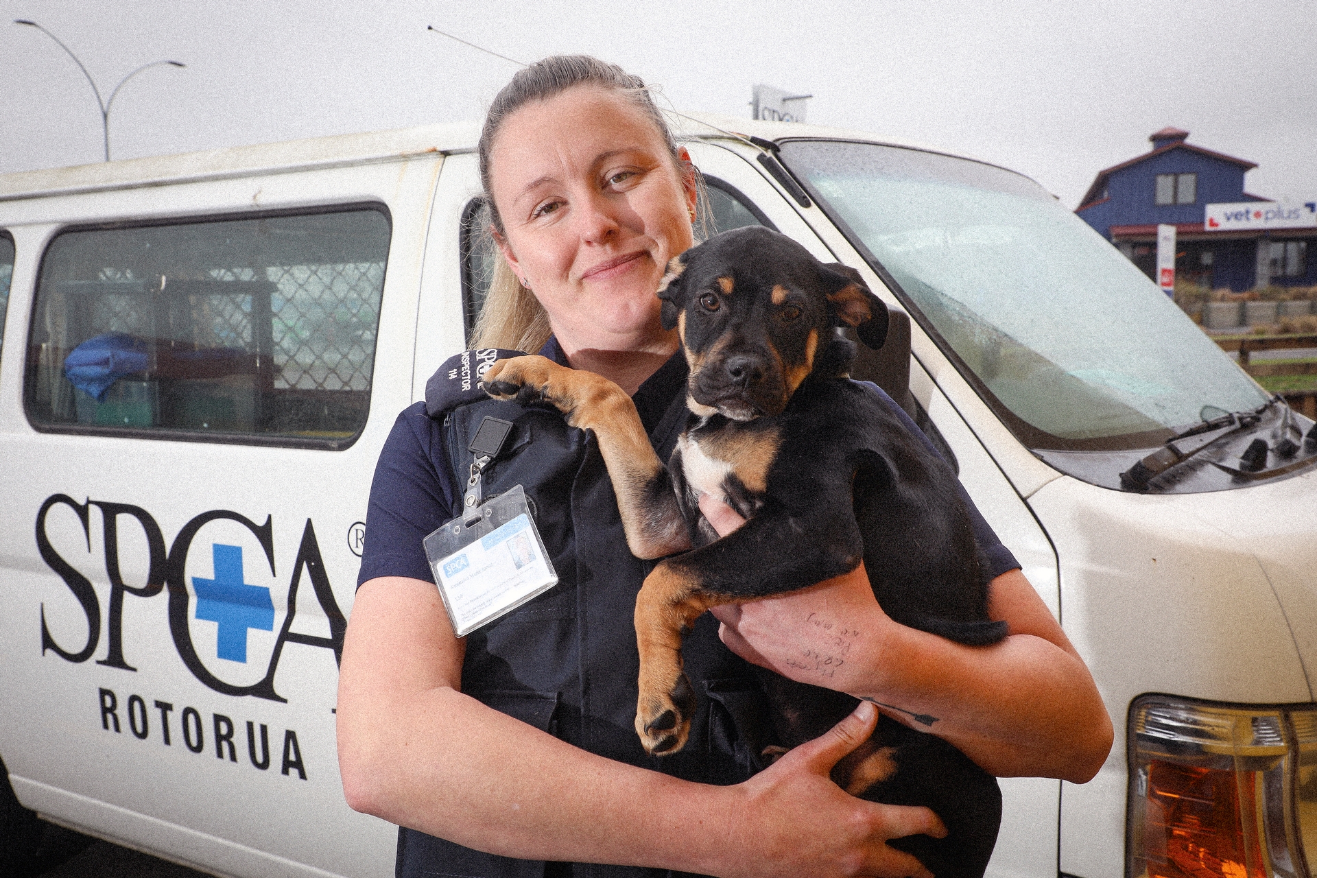 SPCA concerned about dogs being left in cars in Bay of Plenty NZ