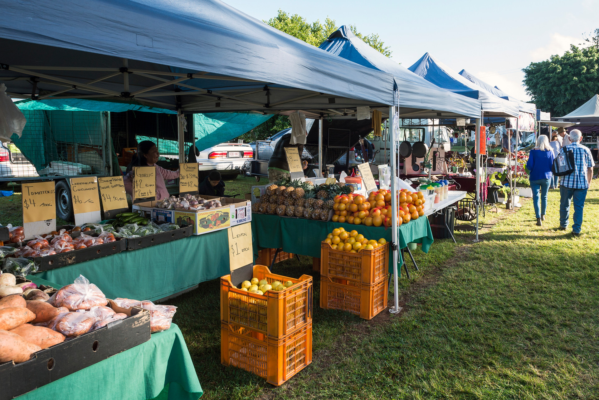 Yungaburra Markets in Tropical North Queensland. Photo / Tourism and Events Queensland