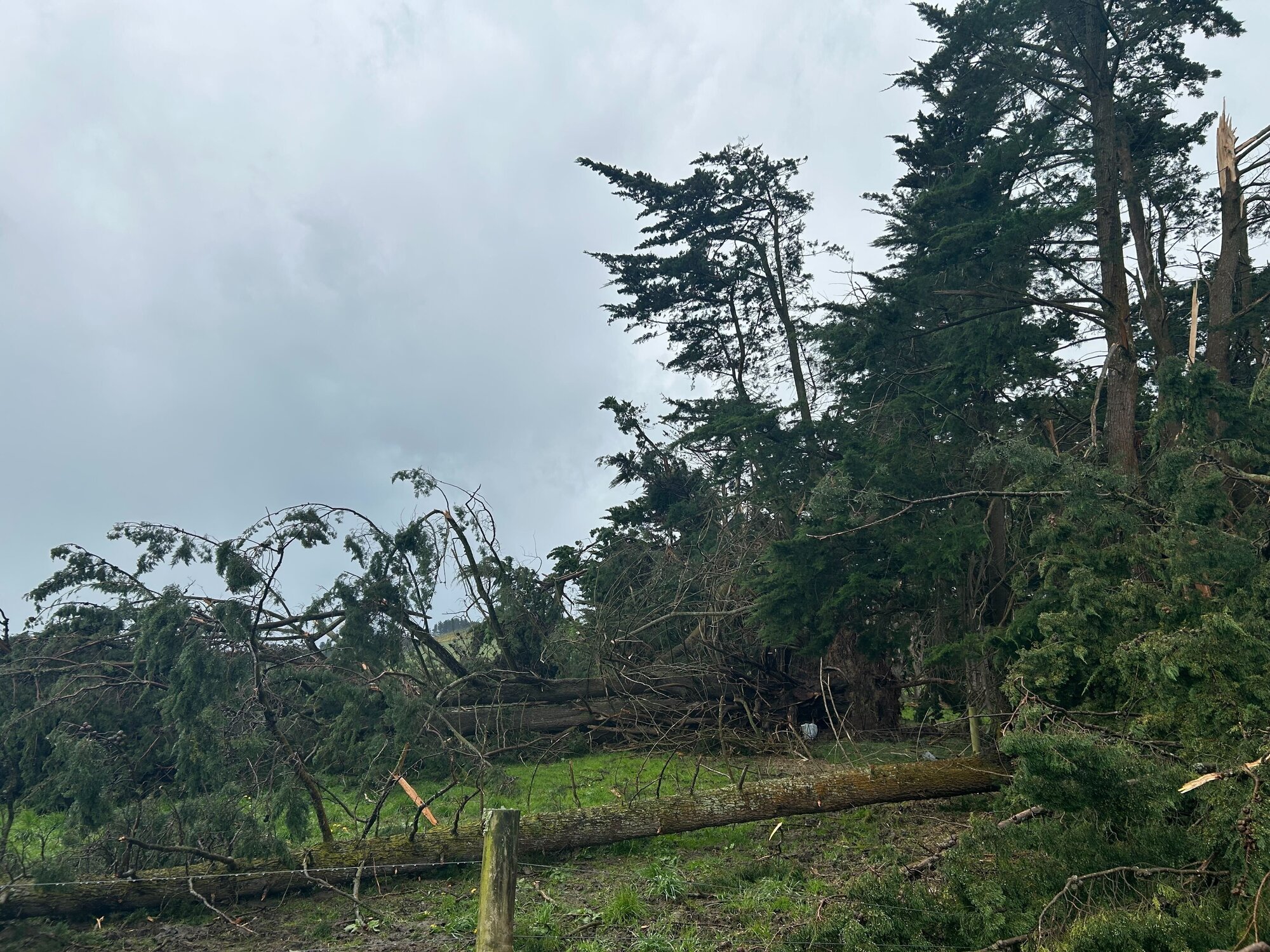 High winds have caused havoc across the country. Photo / Mike Thorpe 