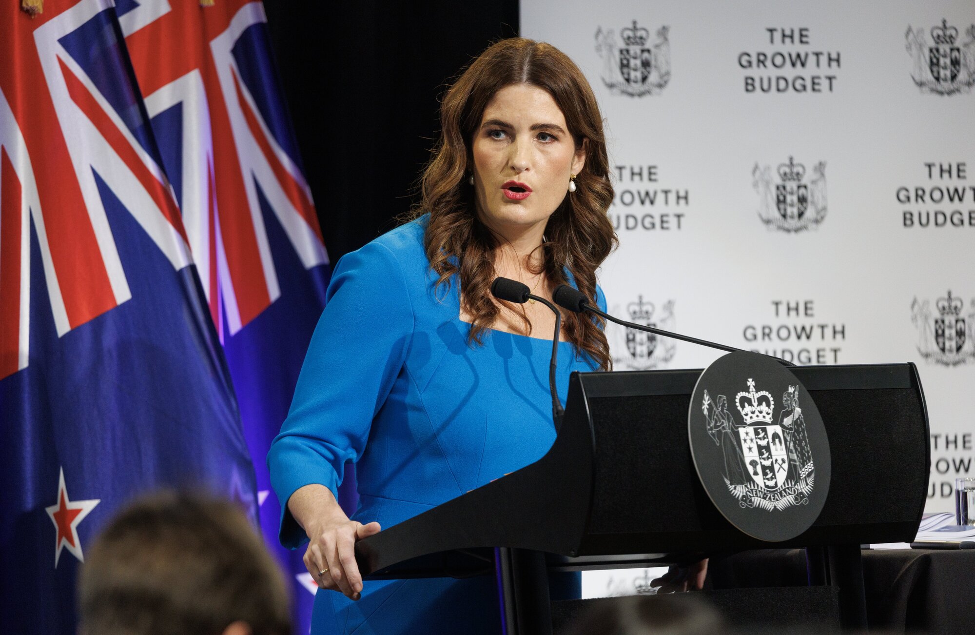 Finance Minister Nicola Willis announced a new tax incentive called Investment Boost during today's Budget. Photo / Mark Mitchell