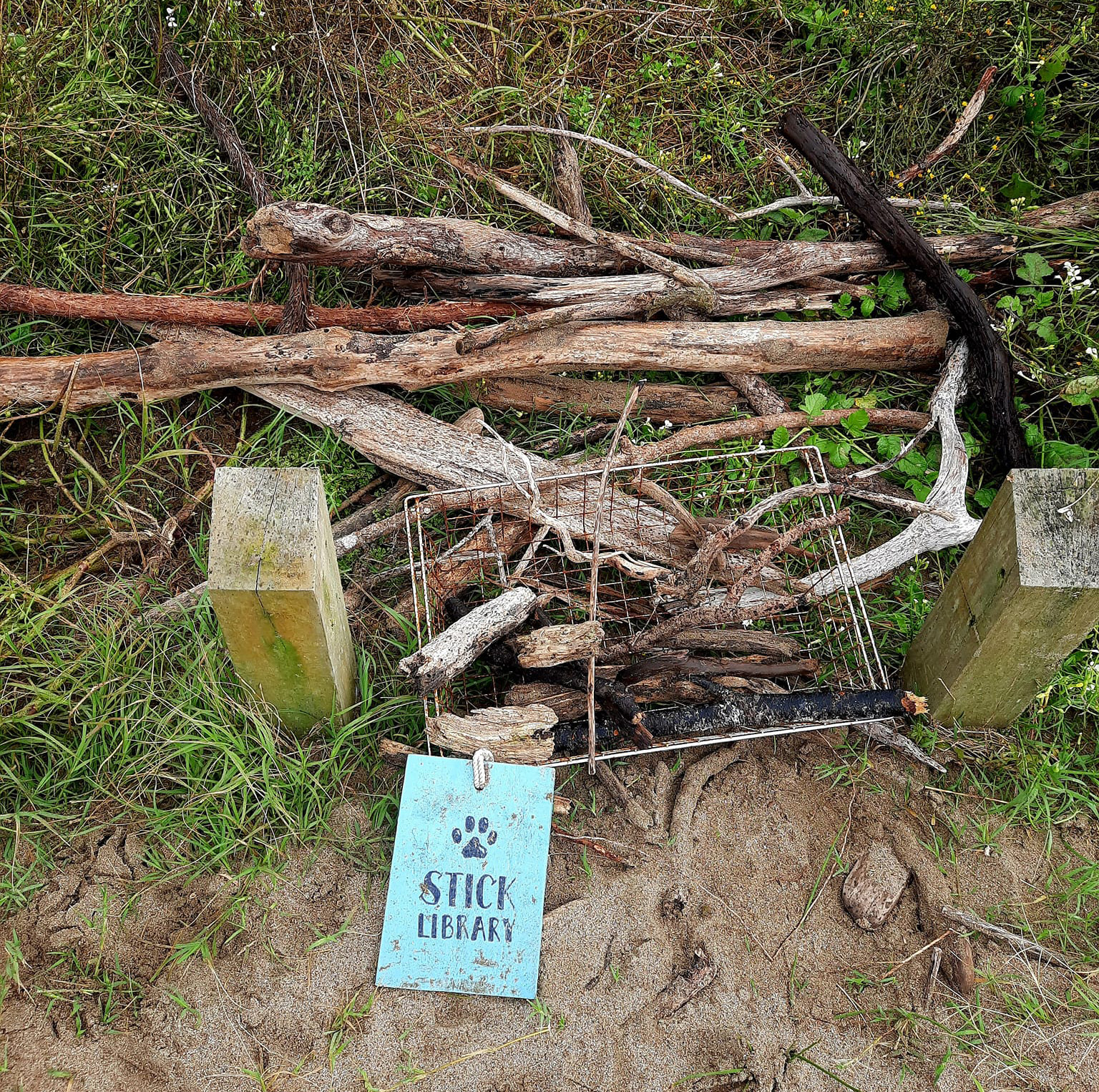The stick library for dog walkers at Long Bay. Photo / Tess Bos