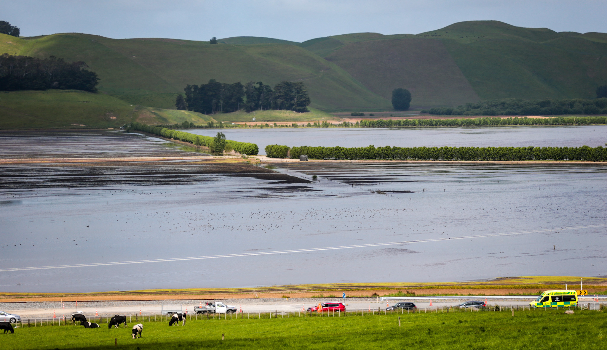 Flooded paddocks on State Highway 2 near Ōtāne, Central Hawke's Bay, on November 10 after heavy rain. Photo / Paul Taylor