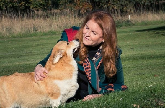Sarah Ferguson with the Queen's beloved corgis. Photo / @sarahferguson15