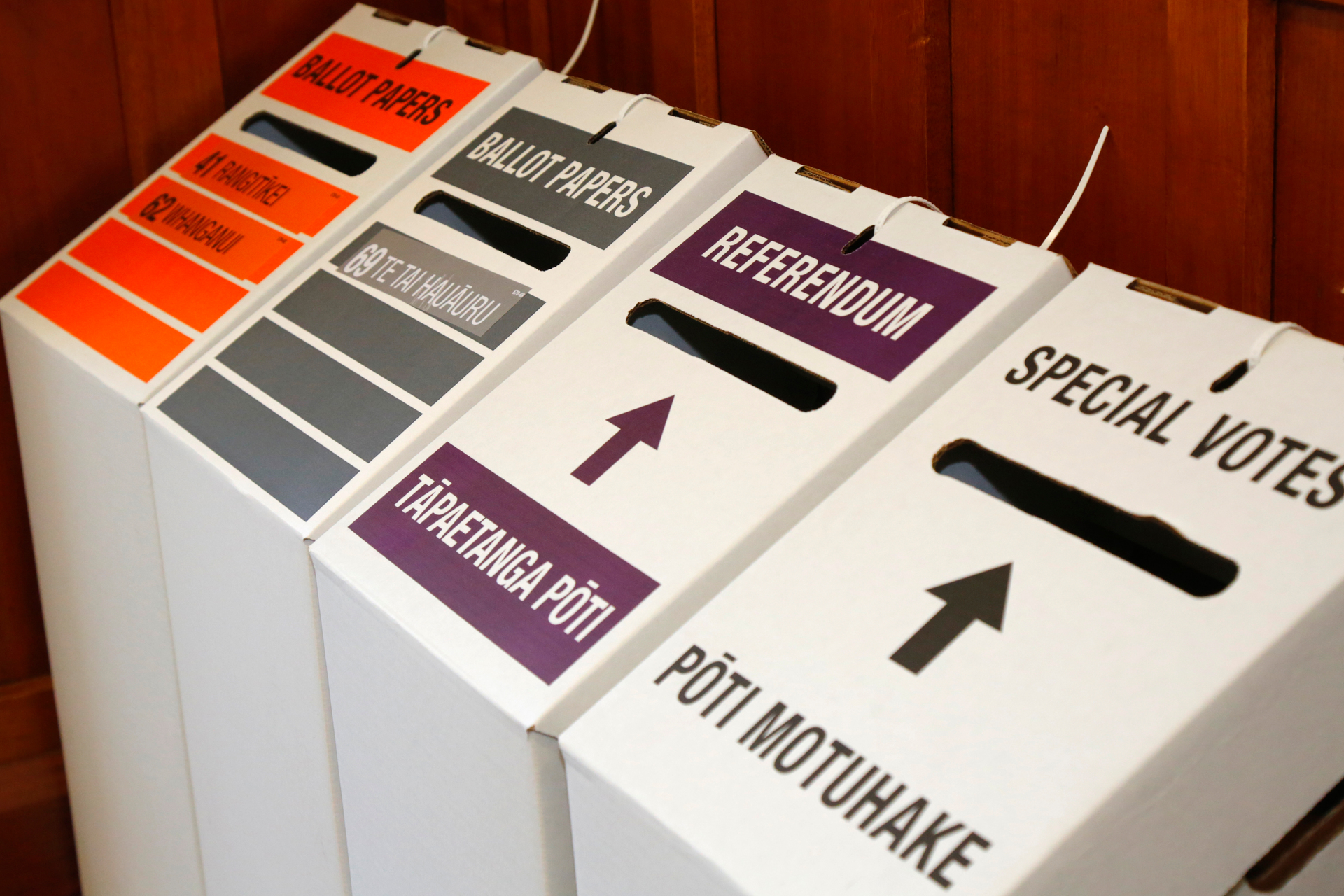 The Government is taking the temperature on electoral law changes. Photo / Bevan Conley