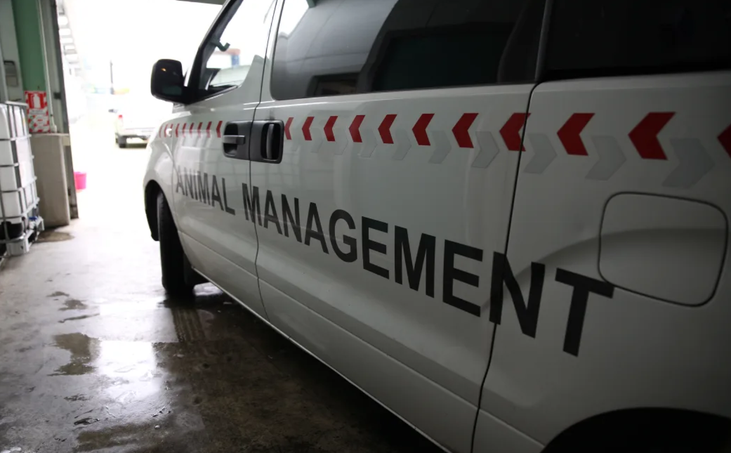 The LTP proposes putting $5.9m to improve animal control. Photo / LDR