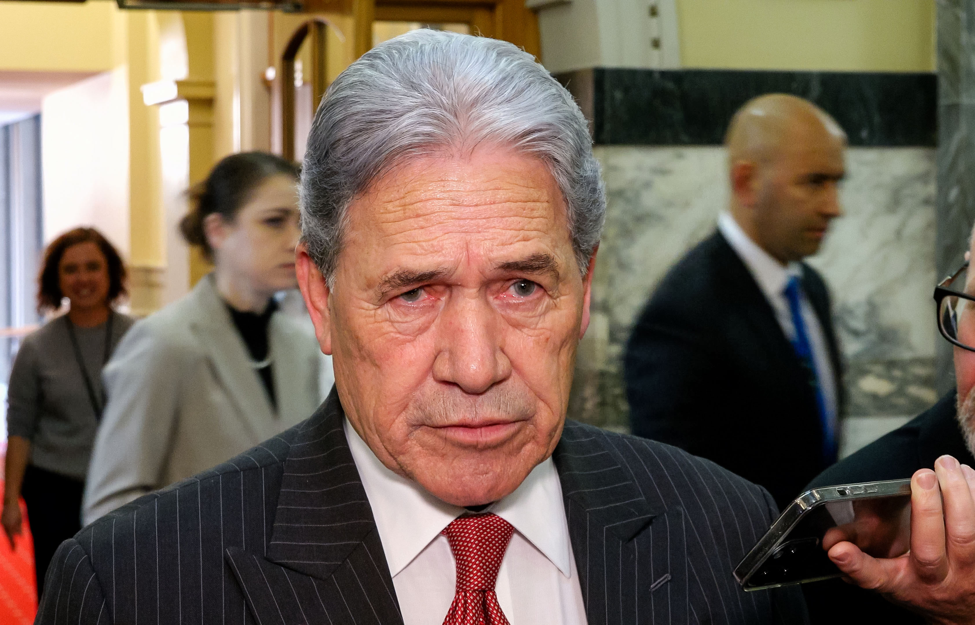 Foreign Minister Winston Peters. Photo / Mark Mitchell
