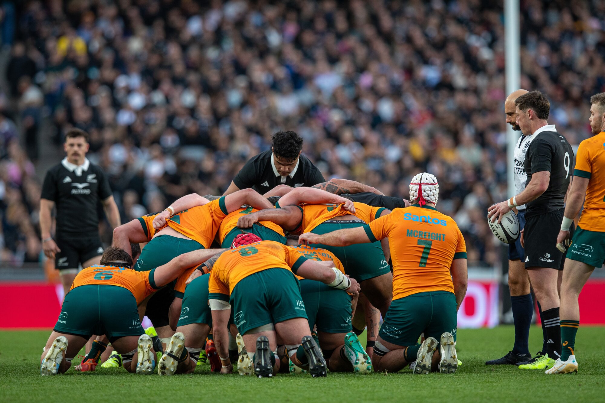 The All Blacks and the Wallabies squared up for the Bledisloe Cup at Eden Park last year. Photo / Alyse Wright