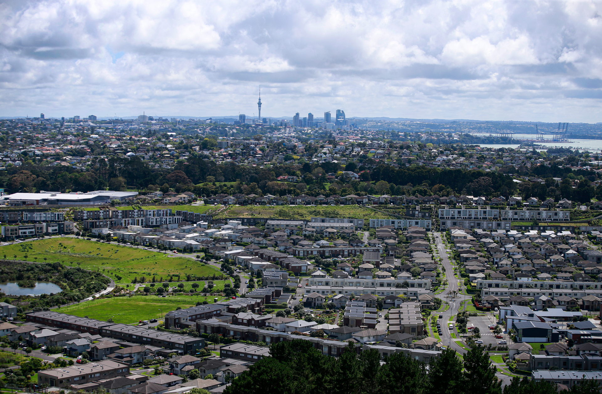 Auckland Council's new CVs are due out in March next year. Photo / Alex Burton
