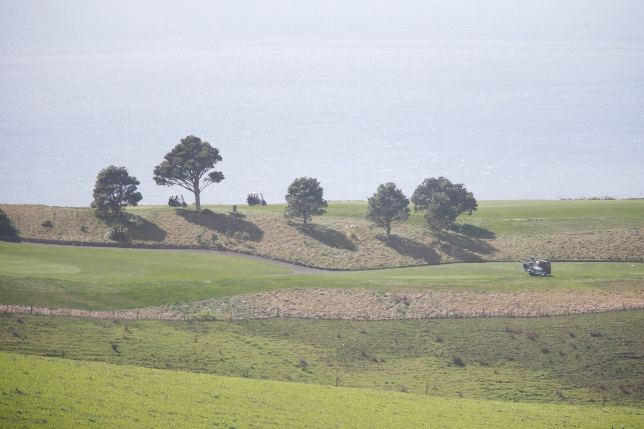 Golf buggies seen at Kauri Cliffs. Photo / Michael Cunningham