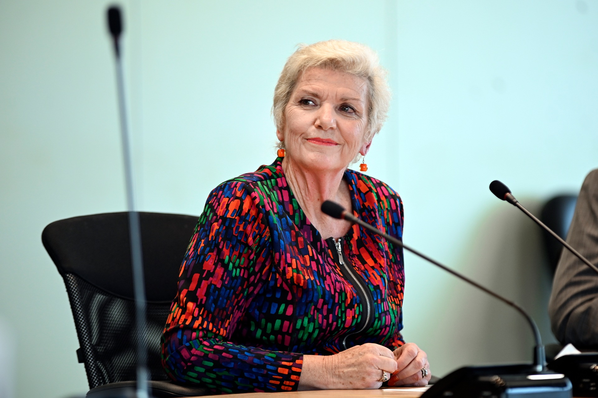 Tauranga commission chairwoman Anne Tolley. Photo / George Novak