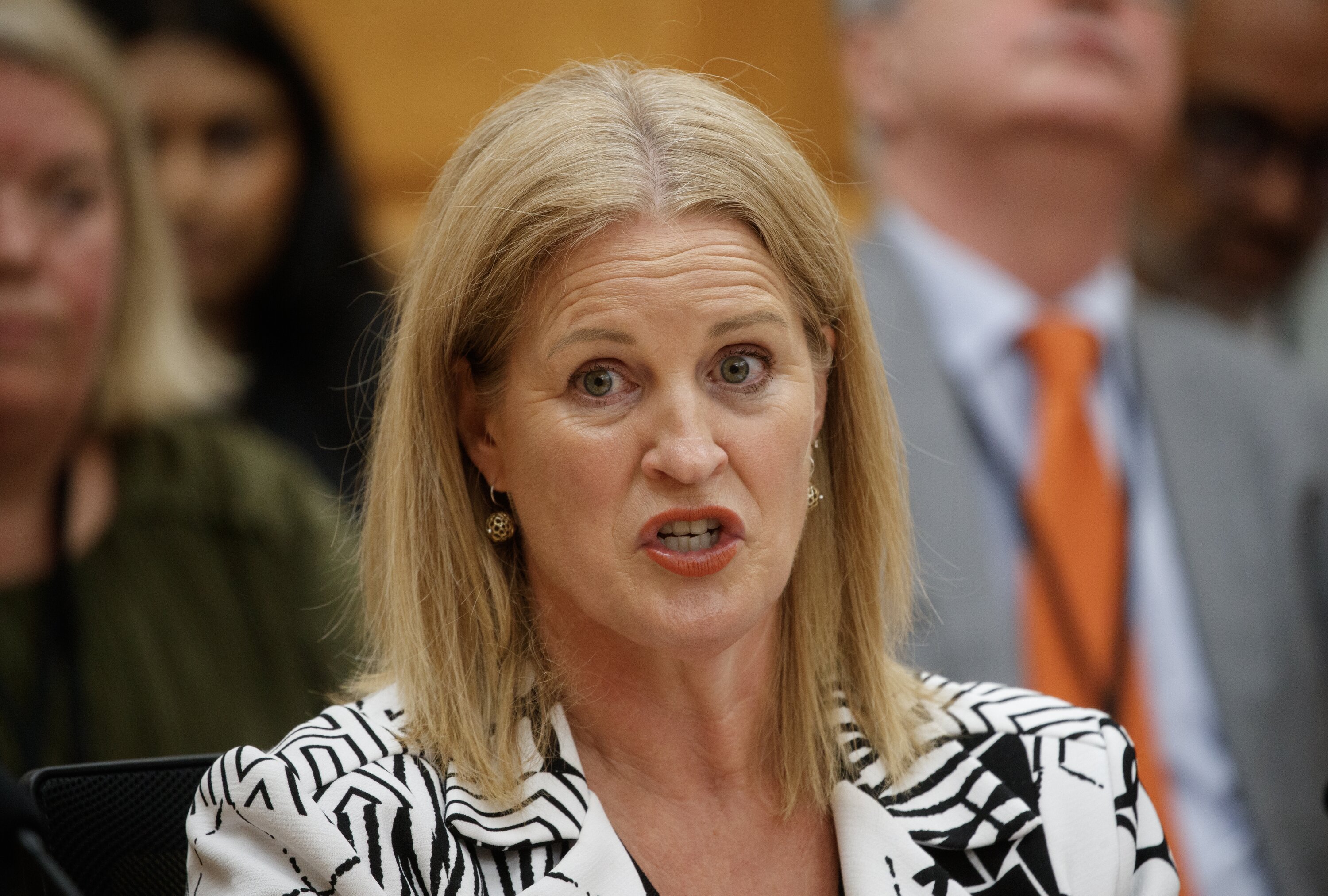 Social Development and Employment Minister Louise Upston. Photo / Mark Mitchell