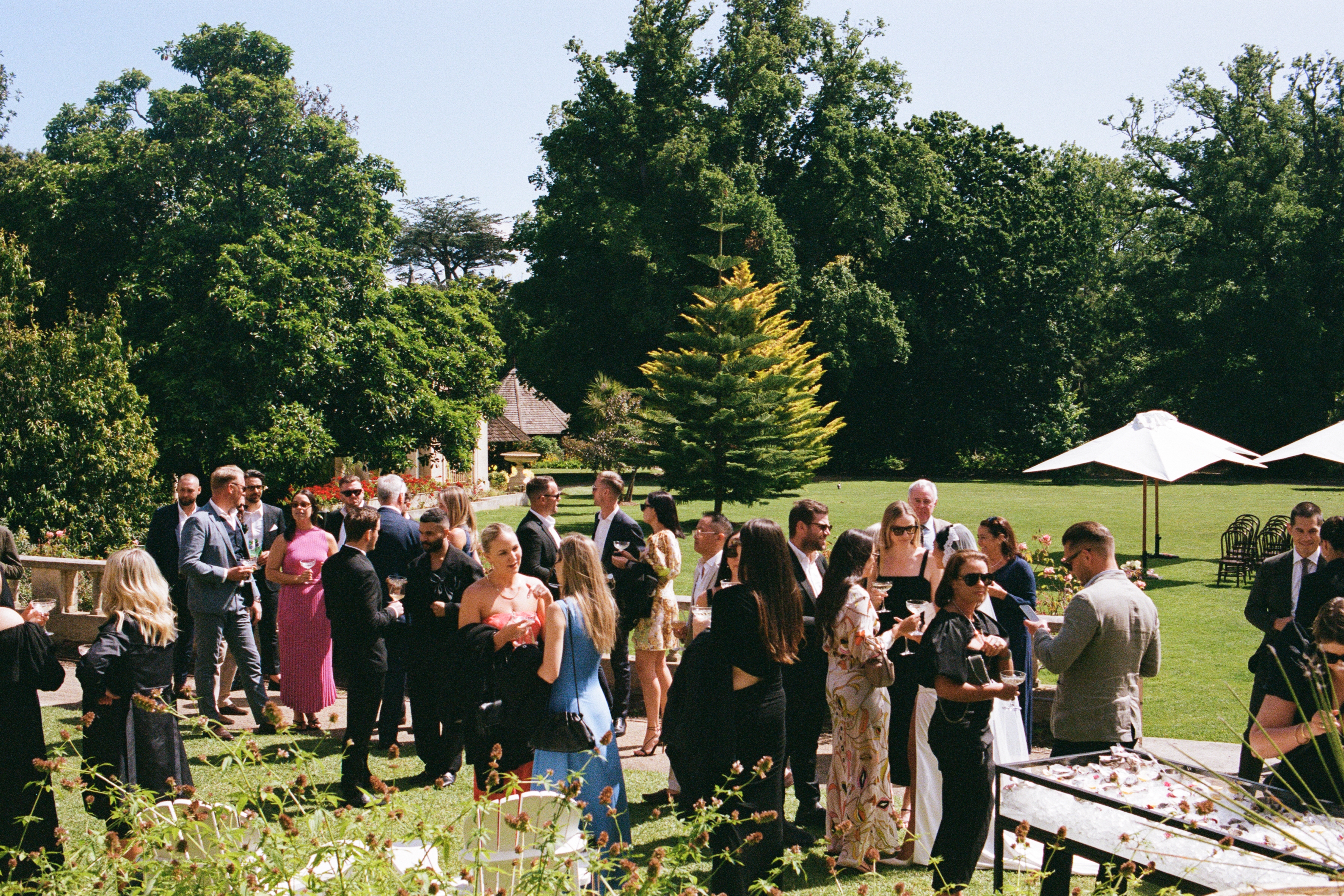 Guests gather at Rippon Lea Estate.  Photos / Kaitlyn Clark