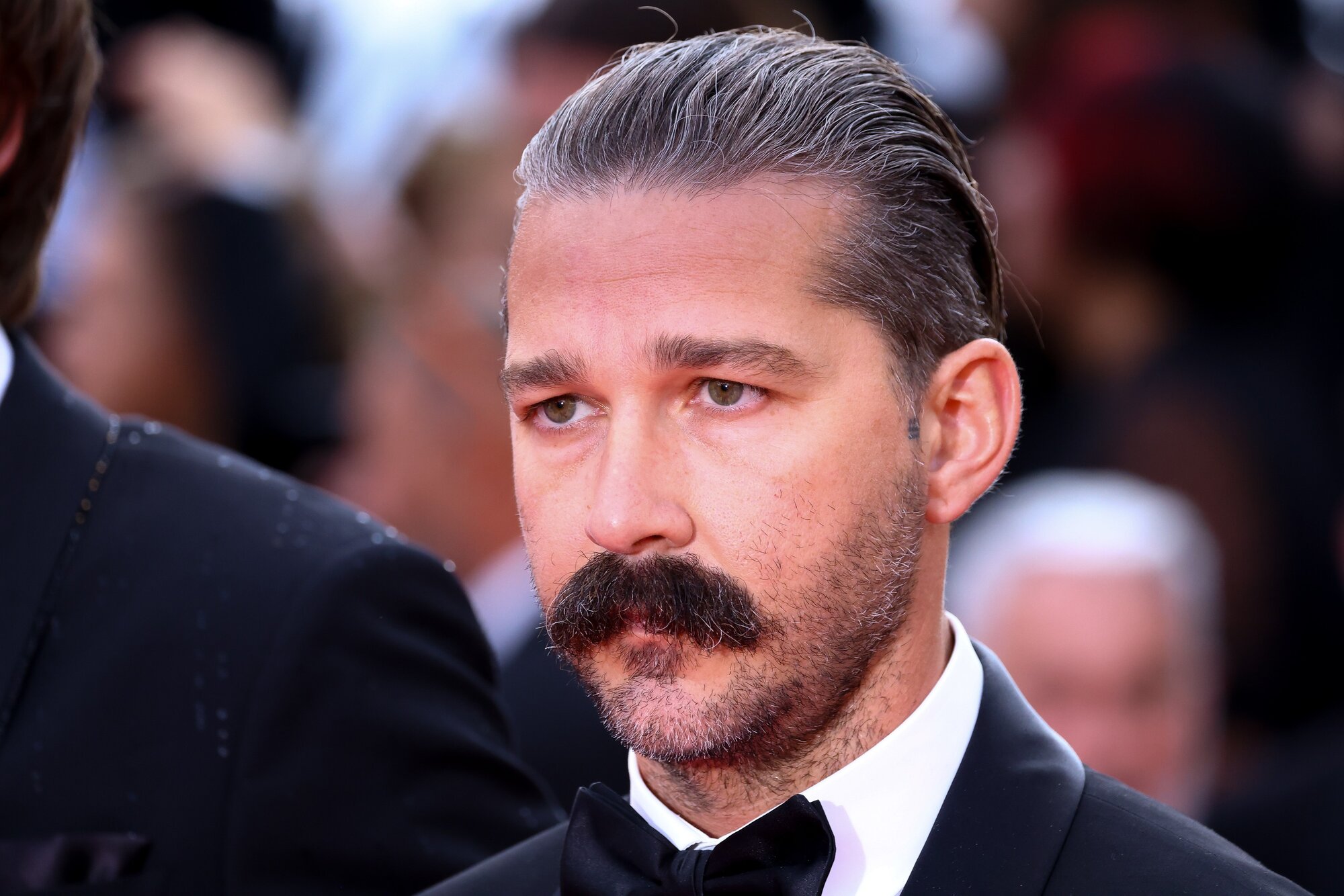 Shia LaBeouf was sentenced to two years' probation and must complete alcohol abuse, anger management, and sensitivity programmes. Photo / Getty Images