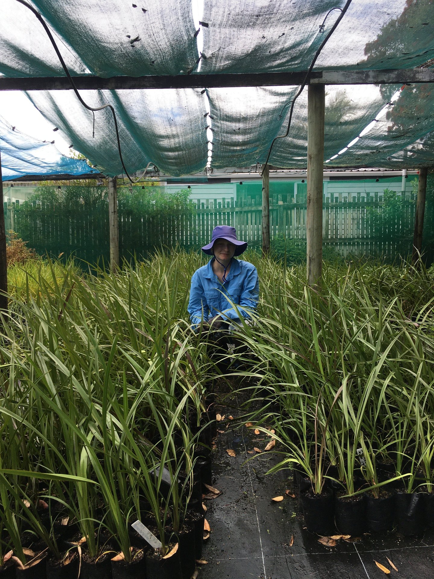 Seventeen-year-old Abigail Armstrong-Green is an environmentalist and Christian who volunteers at He Kakano plant nursery in her free time. Photo / Supplied