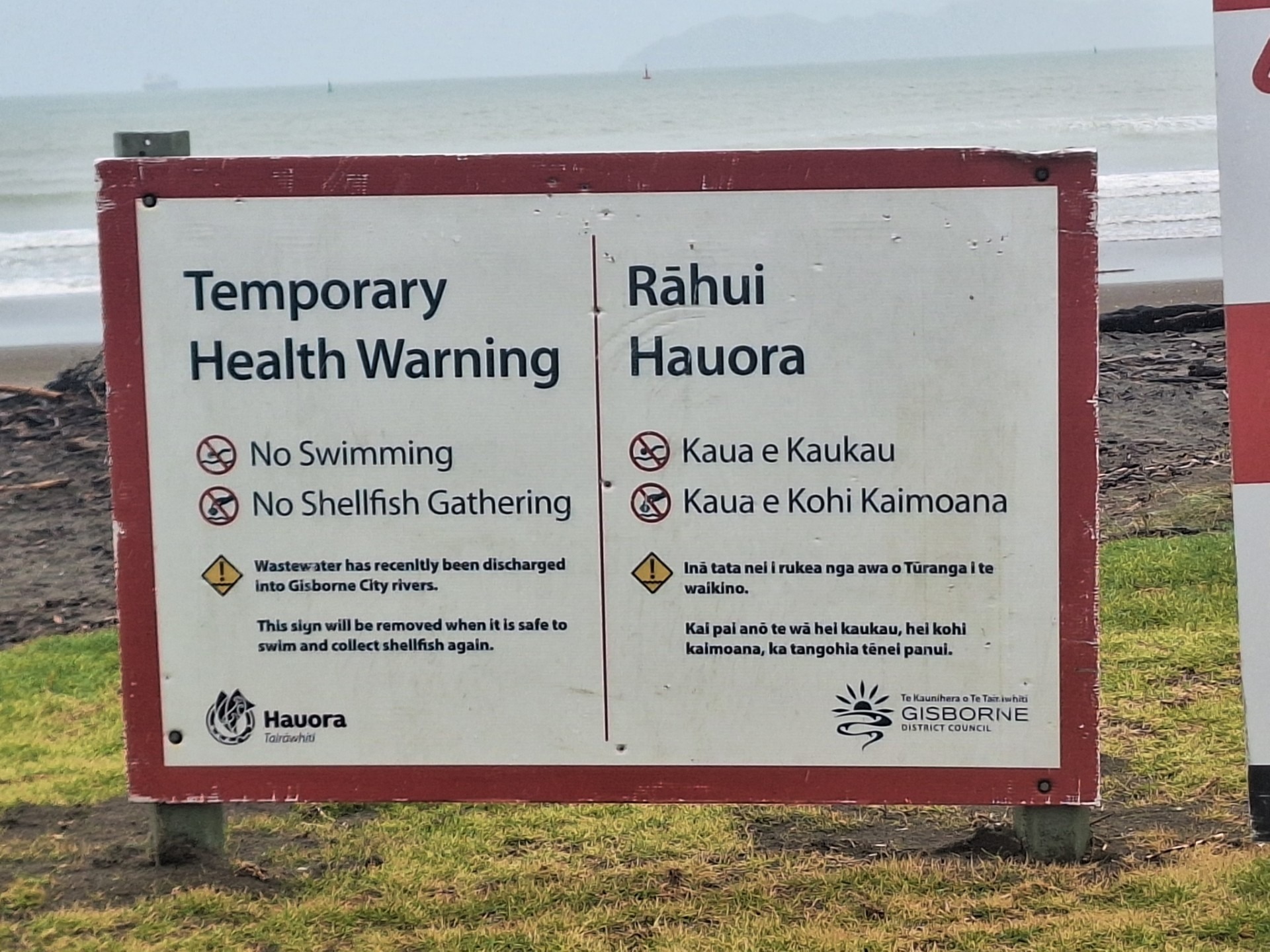 The health warning signs on the city beaches should come down sometime on Thursday. This is a replacement for the sign stolen at the Waikanae end of Grey St. Photo / Murray Robertson