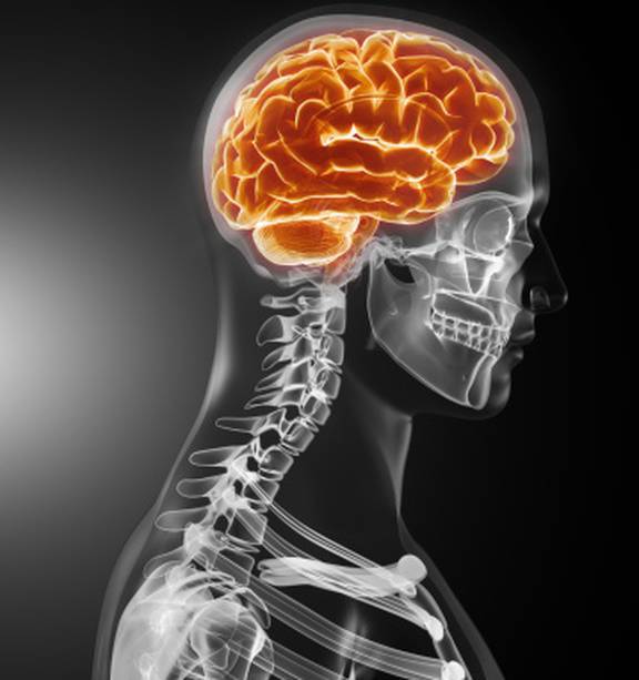 AUT and Abbott have launched a pioneering female athlete concussion study. Photo / Thinkstock