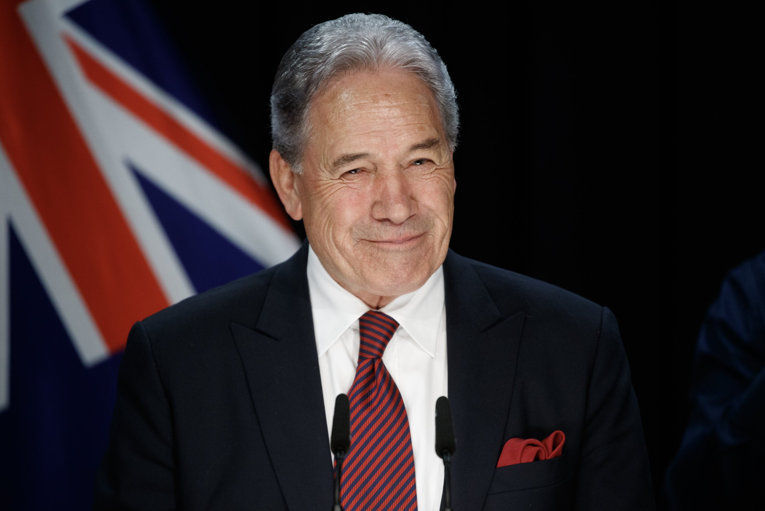 Winston Peters secured savings below initial expectations. Photo / Mark Mitchell