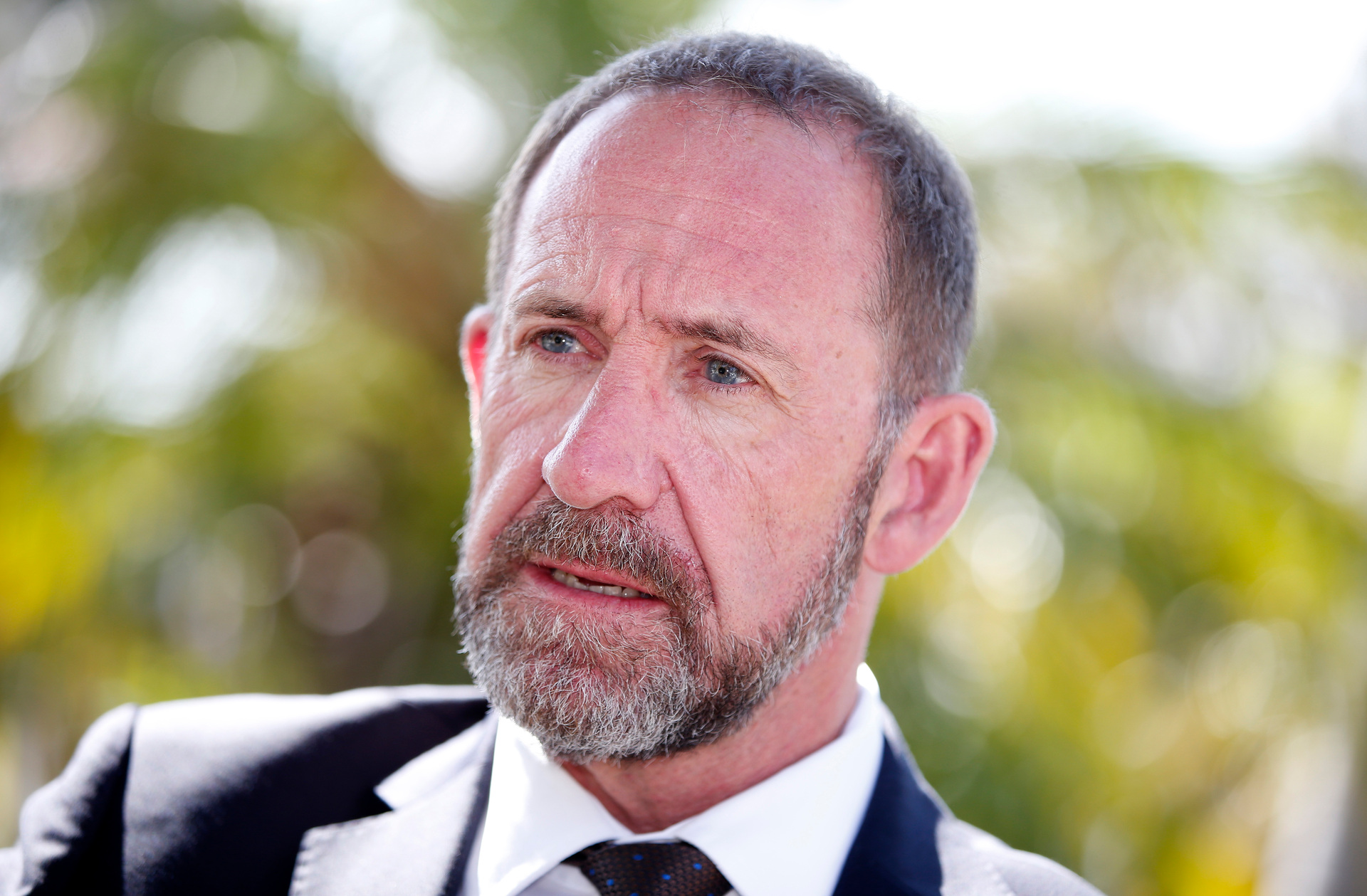 Health Minister Andrew Little. Photo / Michael Cunningham
