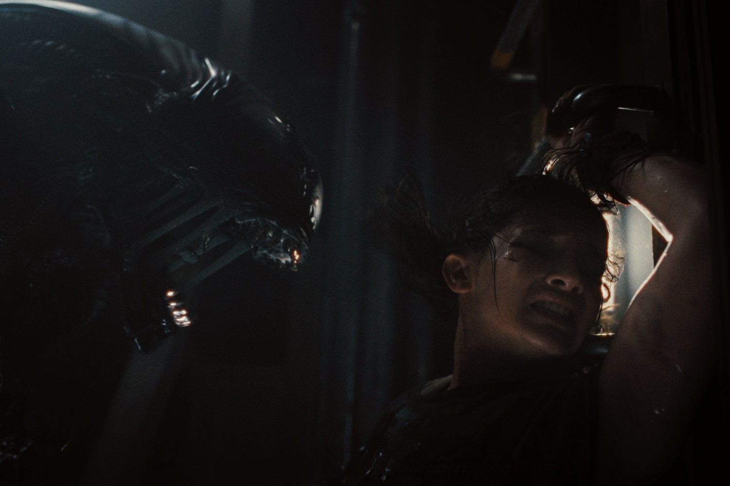 Rain (Cailee Spaeny) faces a xenomorph in Alien: Romulus. Photo / Disney Studios