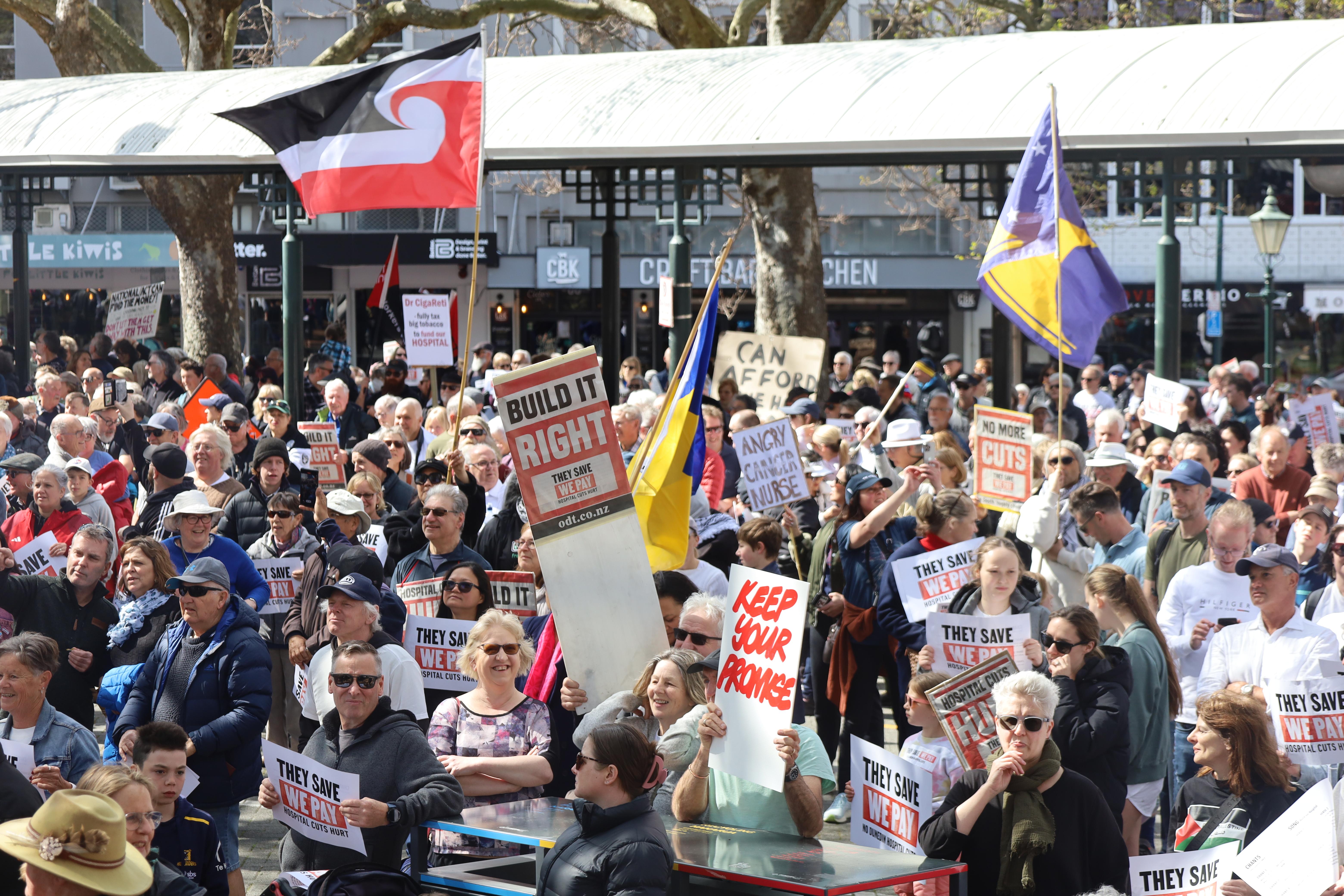 Around 35,000 people gathered in Dunedin to protest cuts to the new hospital. Photo / Ben Tomsett