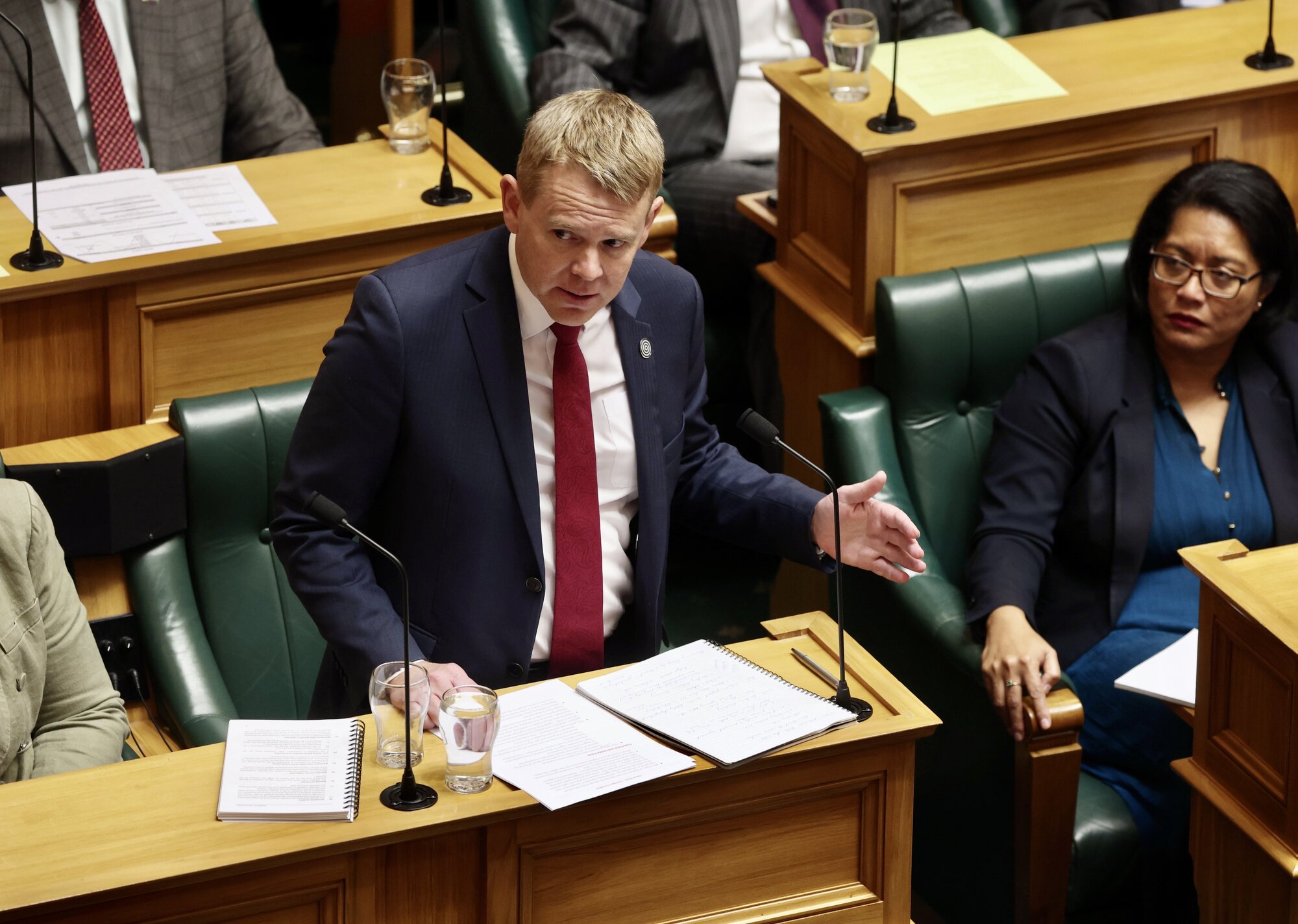 Labour's Chris Hipkins wants to see the detail before making a commitment. Photo / Mark Mitchell 