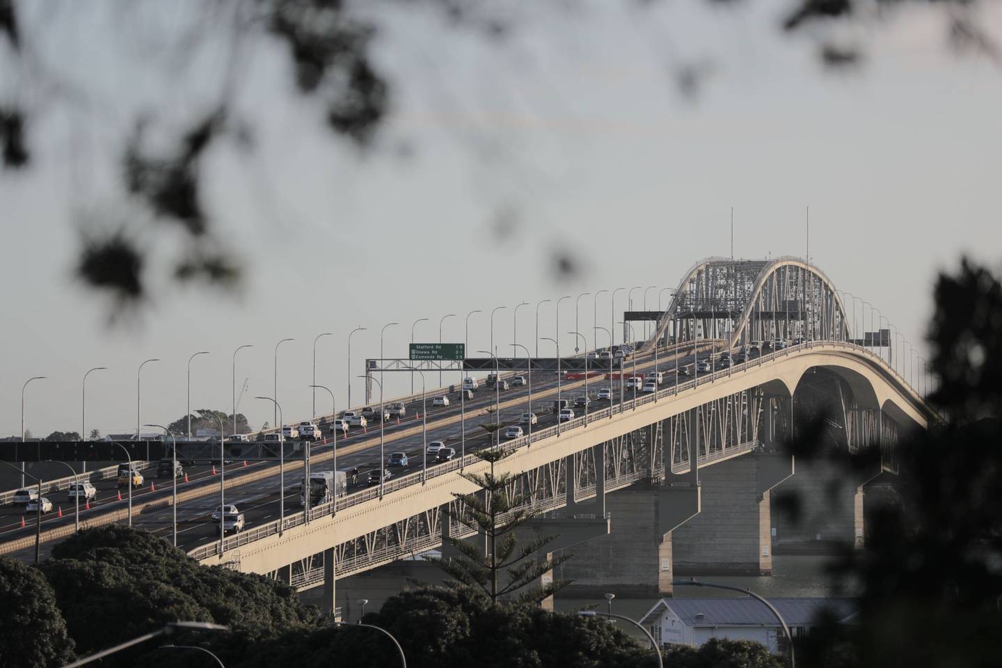 Professor John Tookey said the city is probably going to need both rail and road connections for a new harbour crossing. Photo / Michael Craig