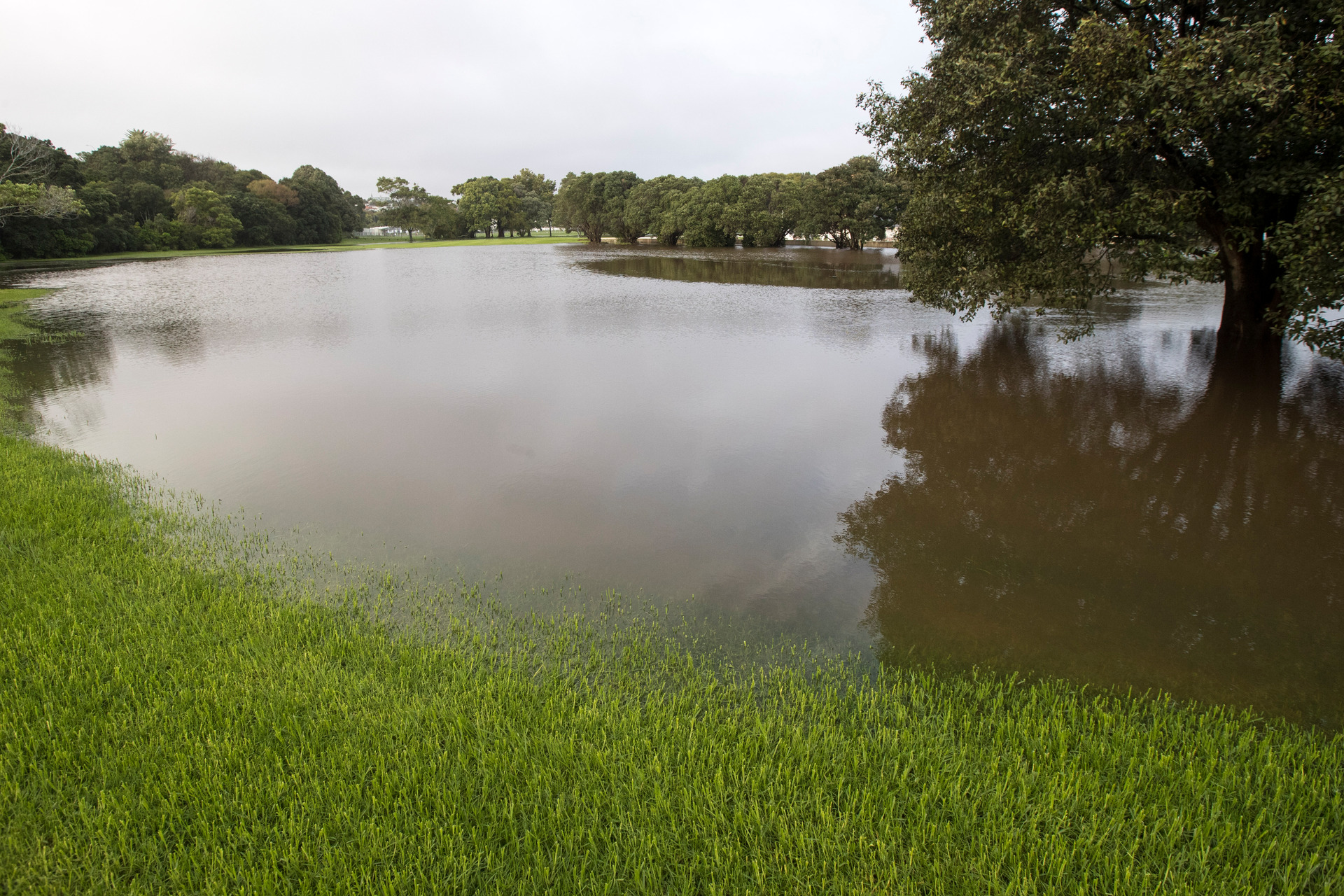 Ōrākei Domain opposite Okahu Bay, which regularly floods in heavy rain events. Photo / File