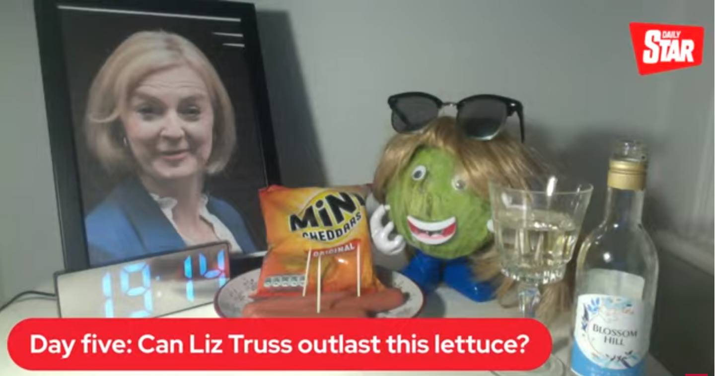 The Daily Star set up a live feed of a deteriorating lettuce to see if it would outlast Liz Truss' tenure as British PM. It did. Screenshot / Daily Star