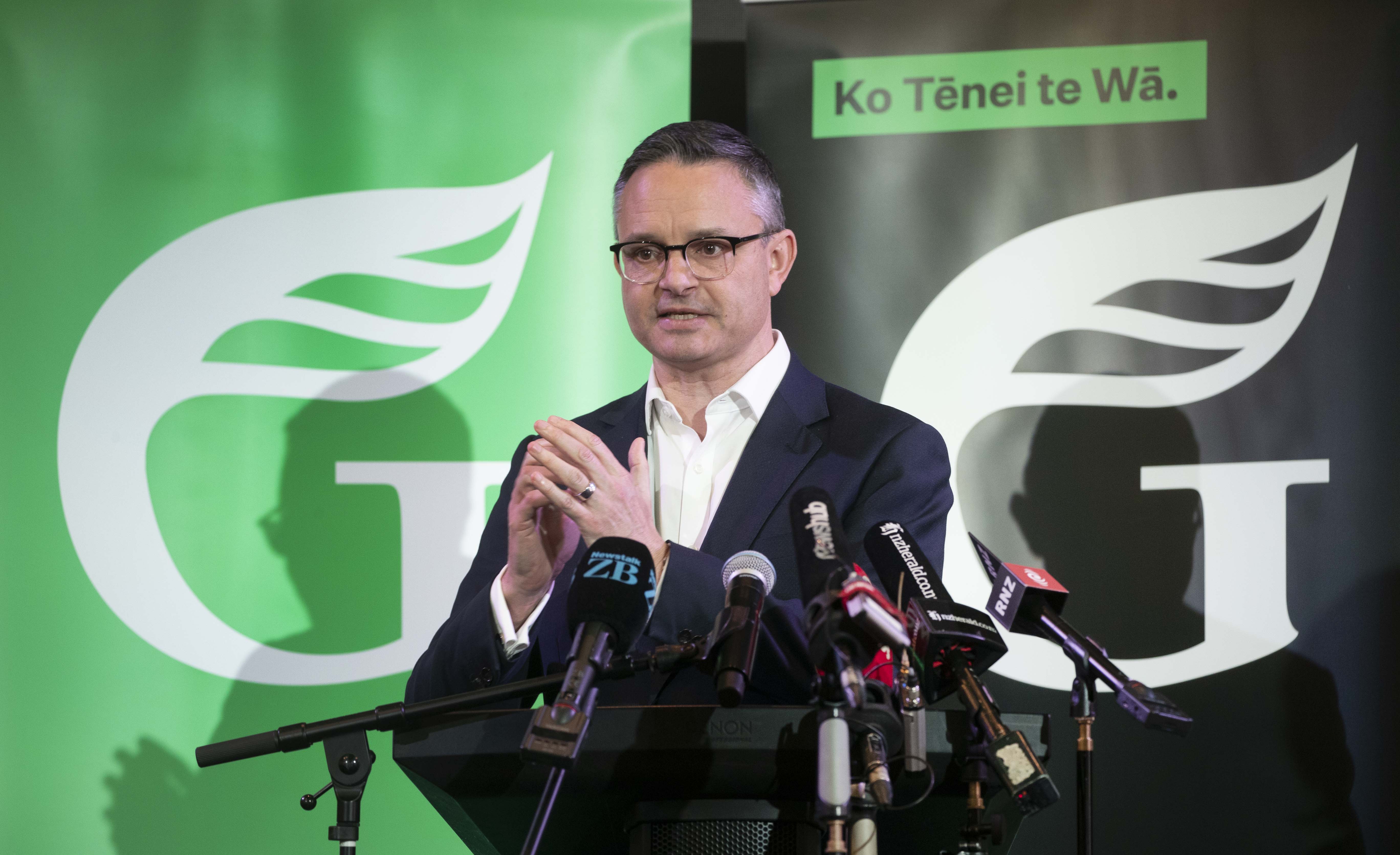 Surely it's time for Greens co-leader James Shaw to pull his escape parachute and leave Parliament, writes Fran O'Sullivan. Photo / Mark Mitchell