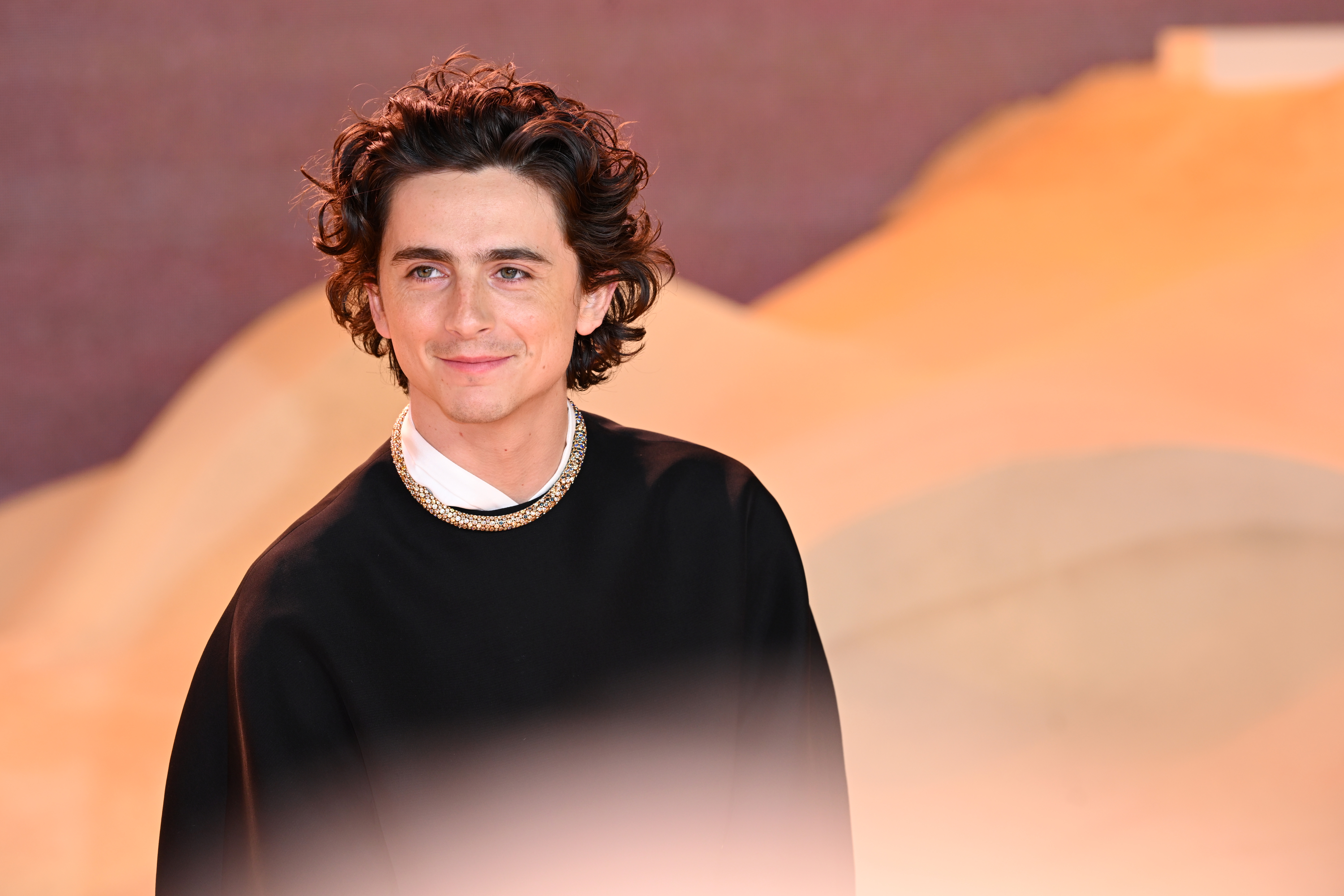 Timothee Chalamet at the premiere of Dune: Part Two in February 2024 in London, England. Photo / Getty Images