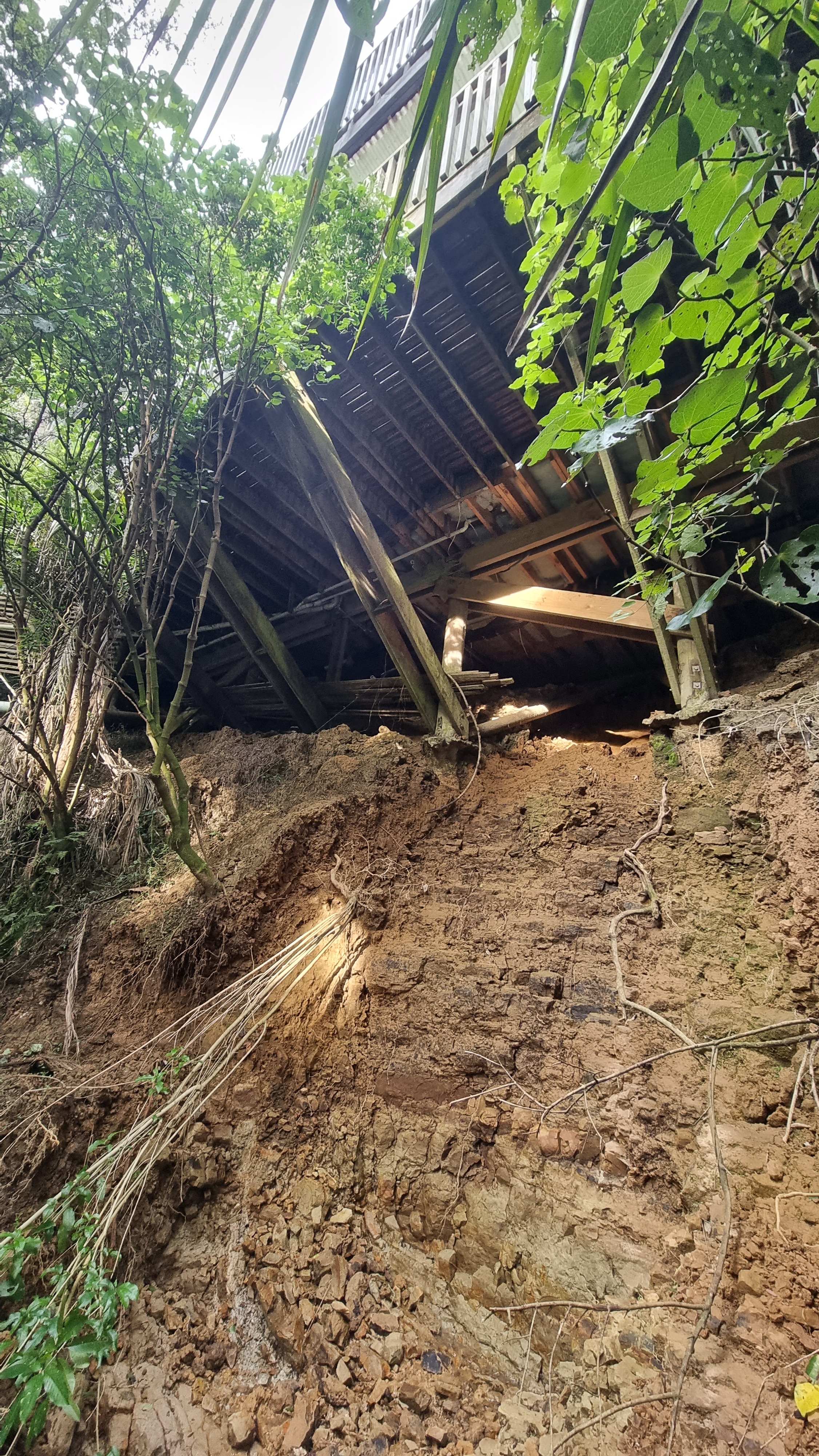  The piles on Chris Whyman's Titirangi hillside home were exposed in a landslip as a result of the Auckland anniversary floods last year. 