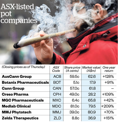 Brian Gaynor: Cannabis stocks don't take long to get high