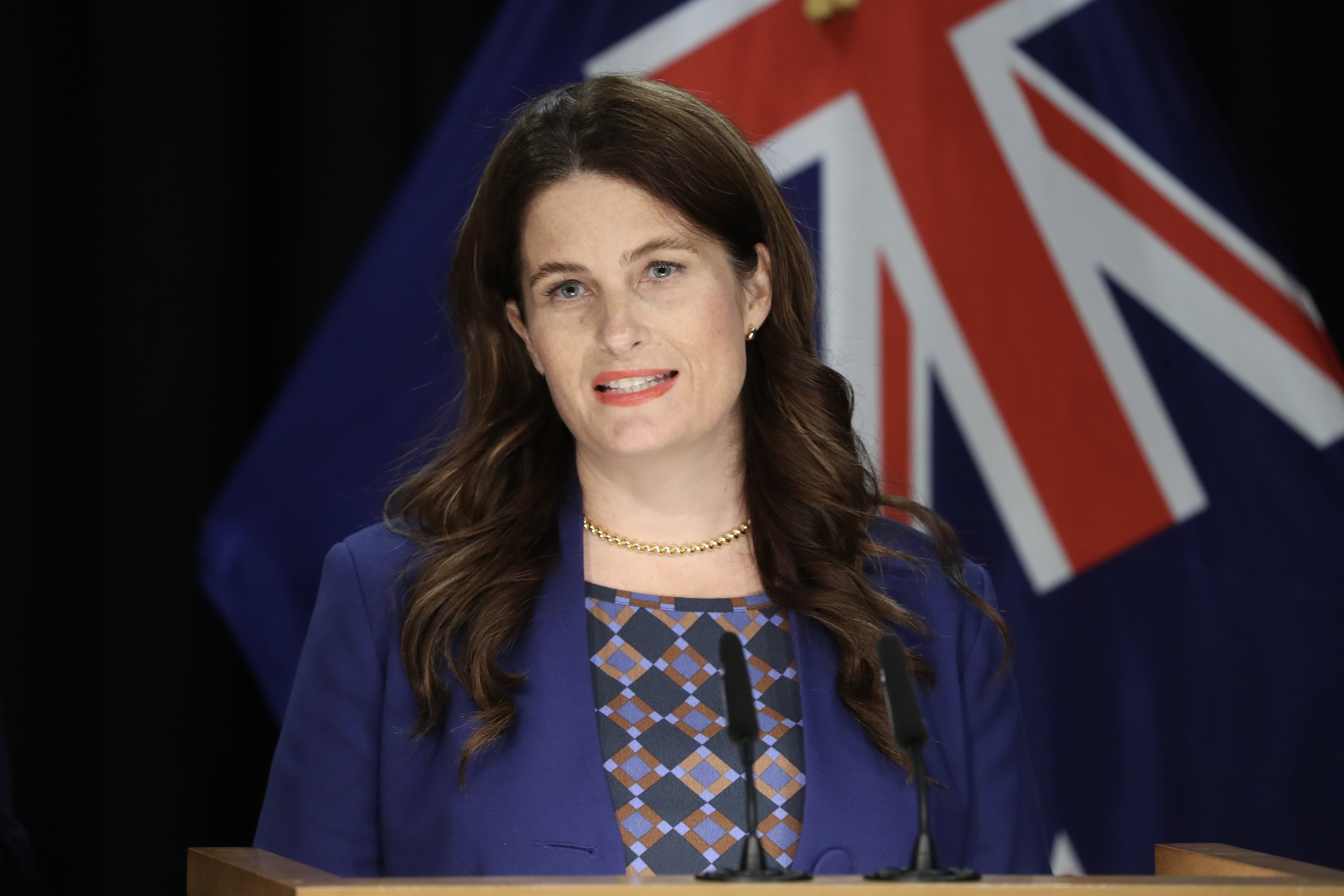 Nicola Willis speaks to media alongside PM Christopher Luxon during the post-Cabinet press conference where the Government announced up to $75 per week for early childhood education (ECE). Photo / Mark Mitchell