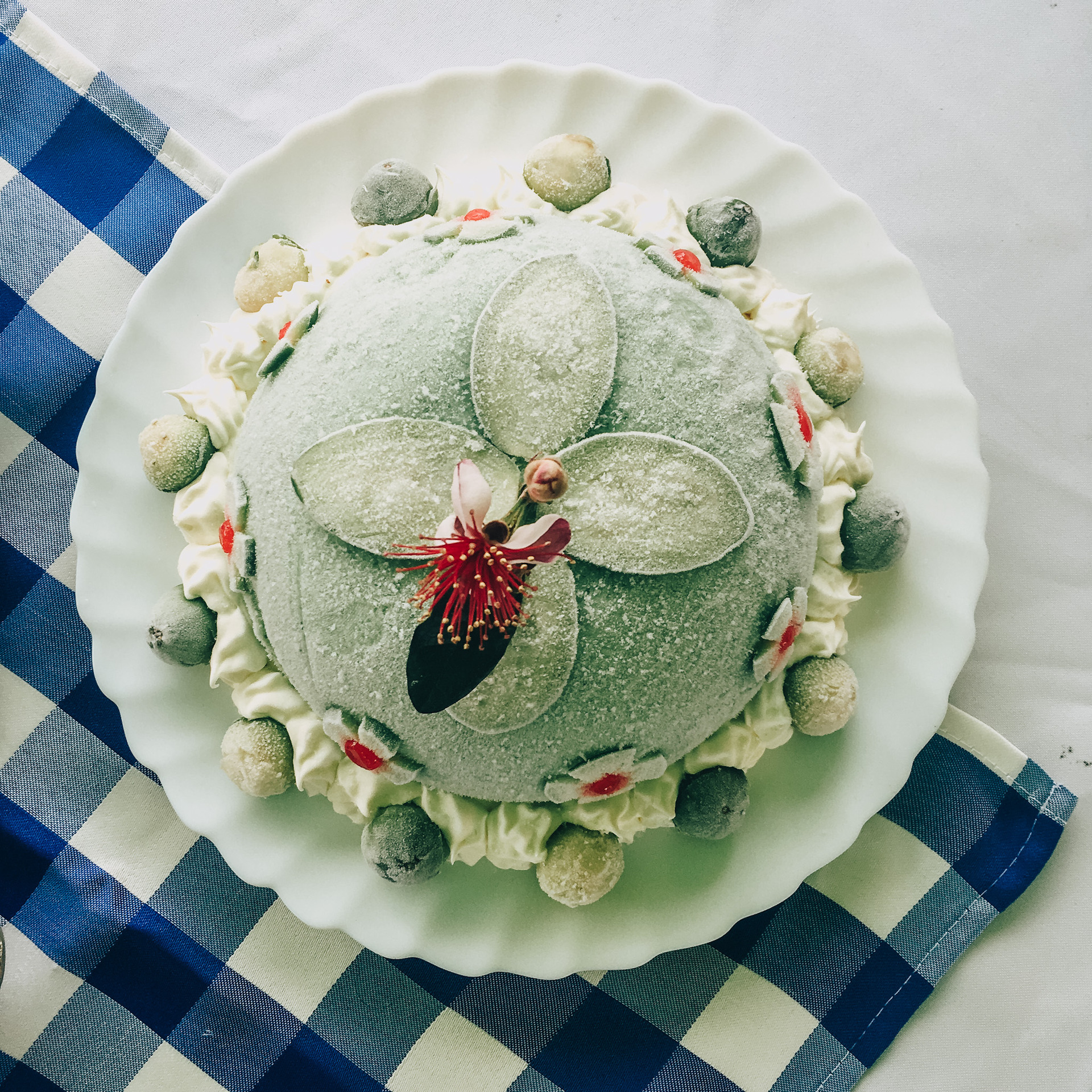 A layered feijoa ice cream cake, which won a desserts competition at the Tibasosa festival where Evans was the celebrity judge. Photo / Kate Evans