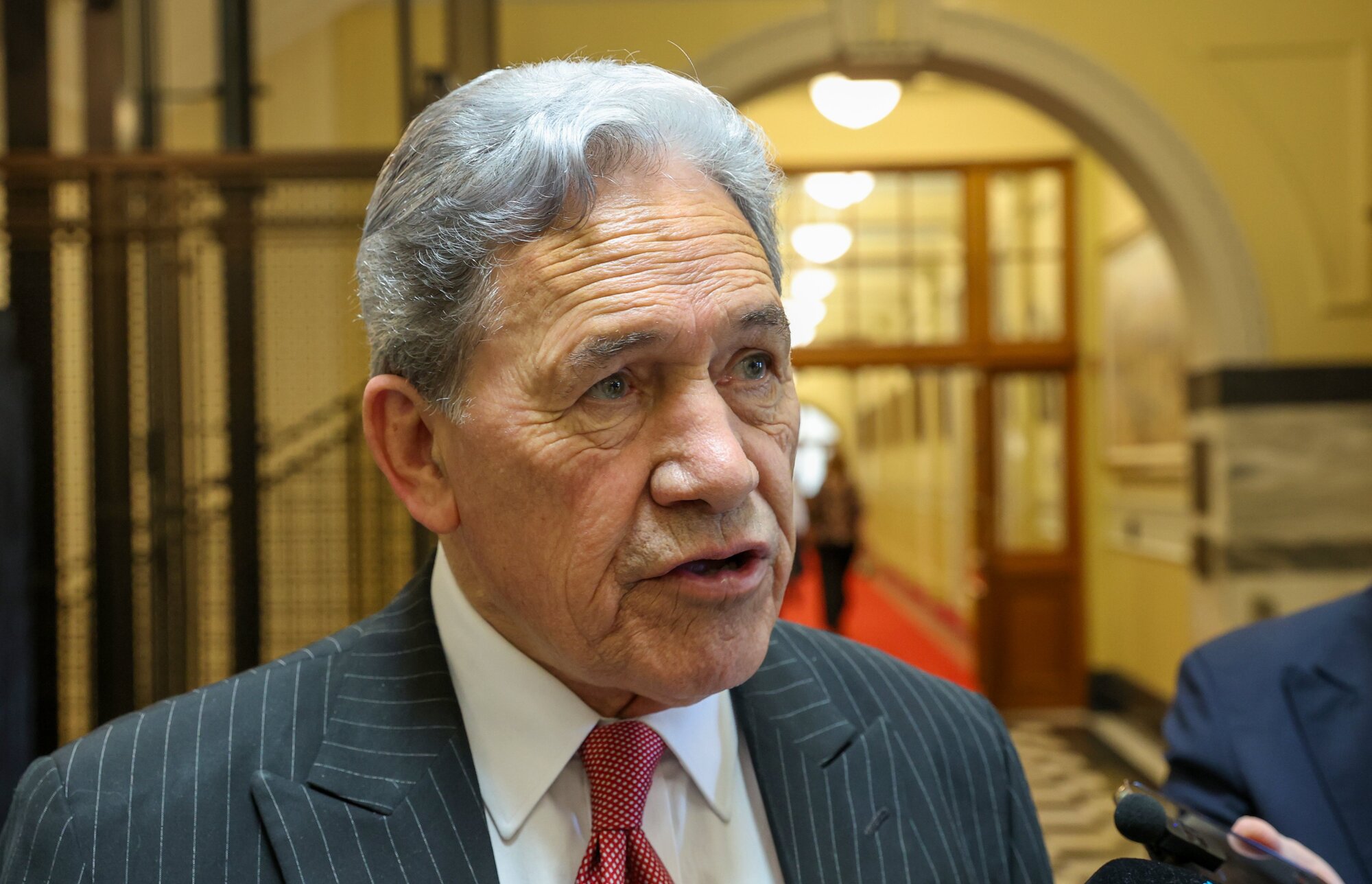Winston Peters' NZ First won't be supporting the deal. Photo / Mark Mitchell