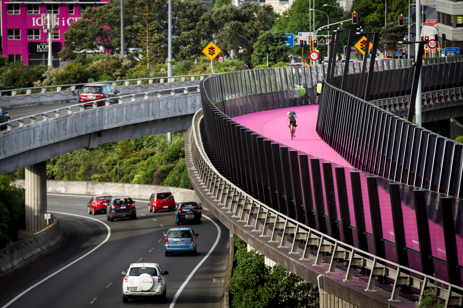 A cyclist uses the pink path in Auckland, away from the hustle and bustle of nearby vehicles. Photo / Dean Purcell